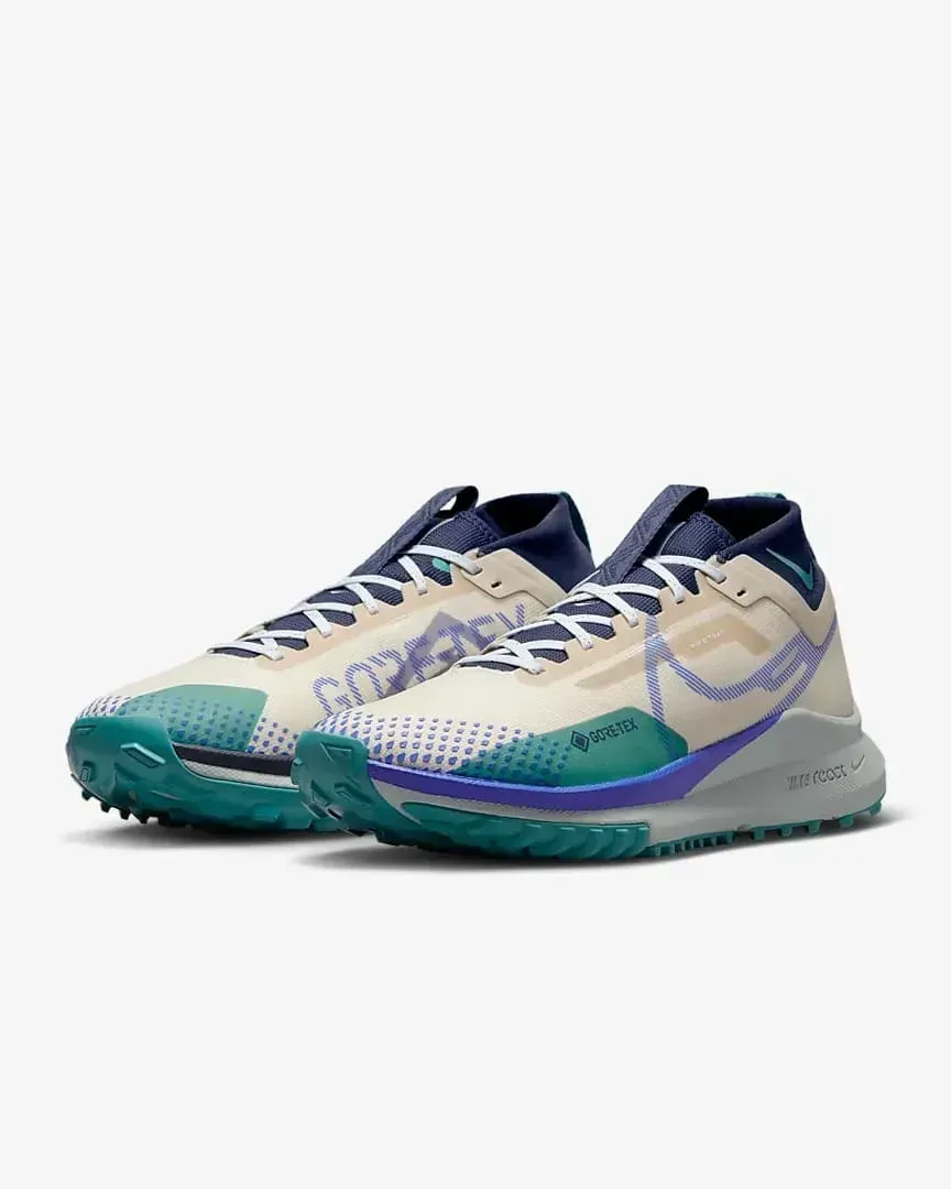 Кросівки для бігу чоловічі Nike Pegasus Trail 4 Gore-Tex (DJ7926-100)