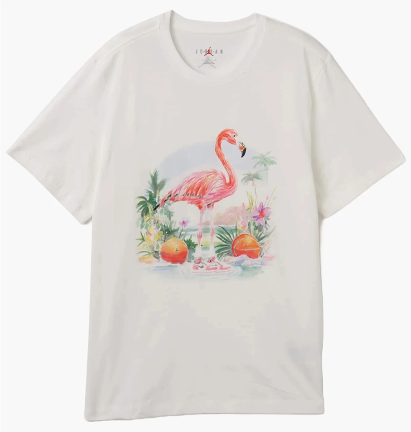 Футболка чоловіча Air Jordan Ess Flamingo Ss Crew White HJ2399-100