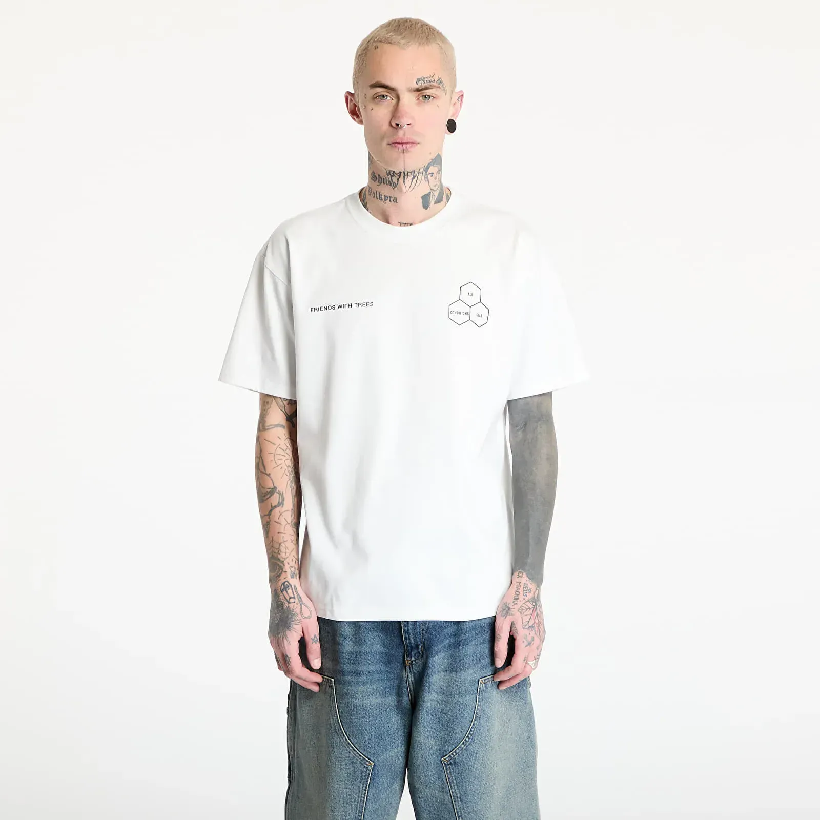 Футболка чоловіча Nike Acg Dri-Fit T-Shirt (HJ0796-121)