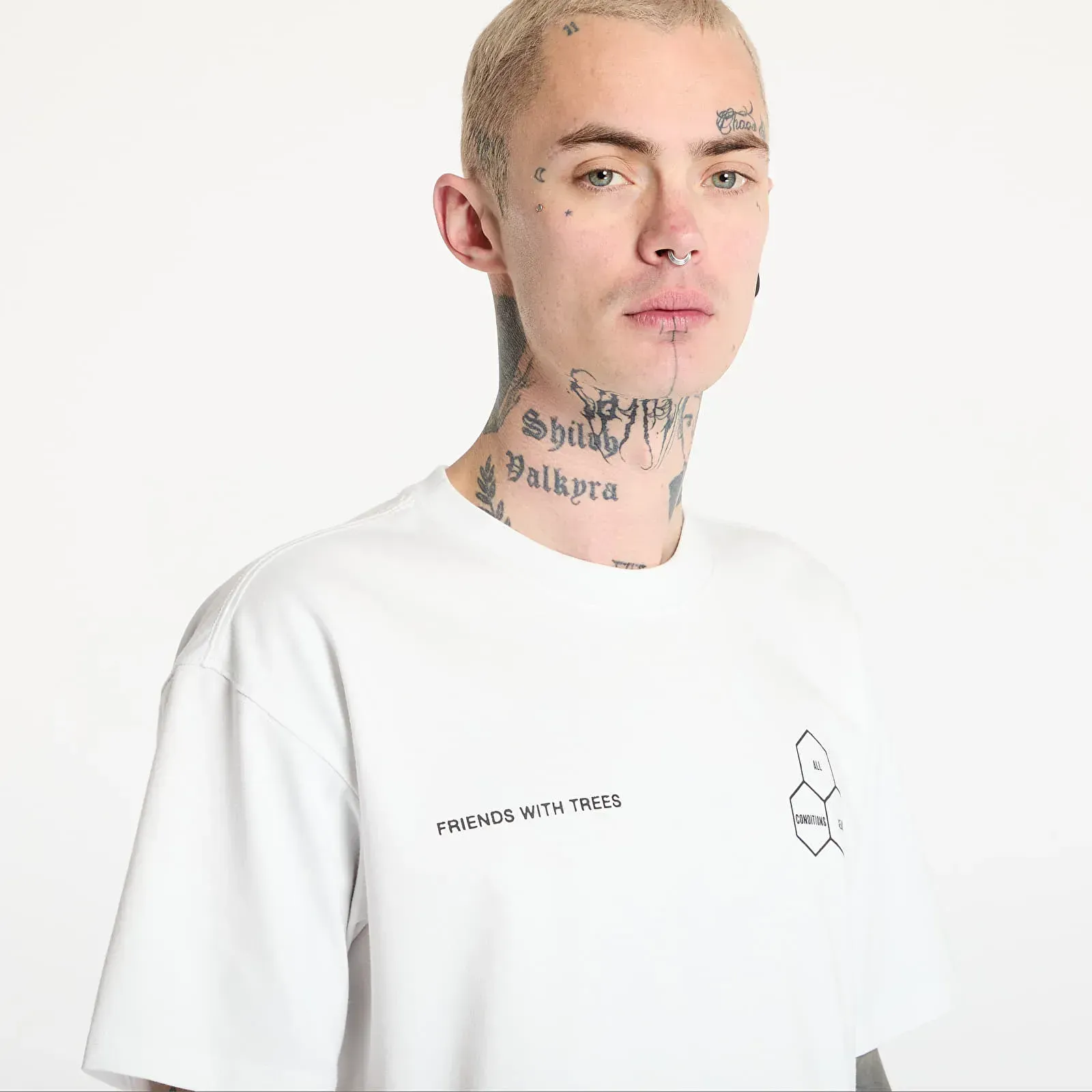 Футболка чоловіча Nike Acg Dri-Fit T-Shirt (HJ0796-121)