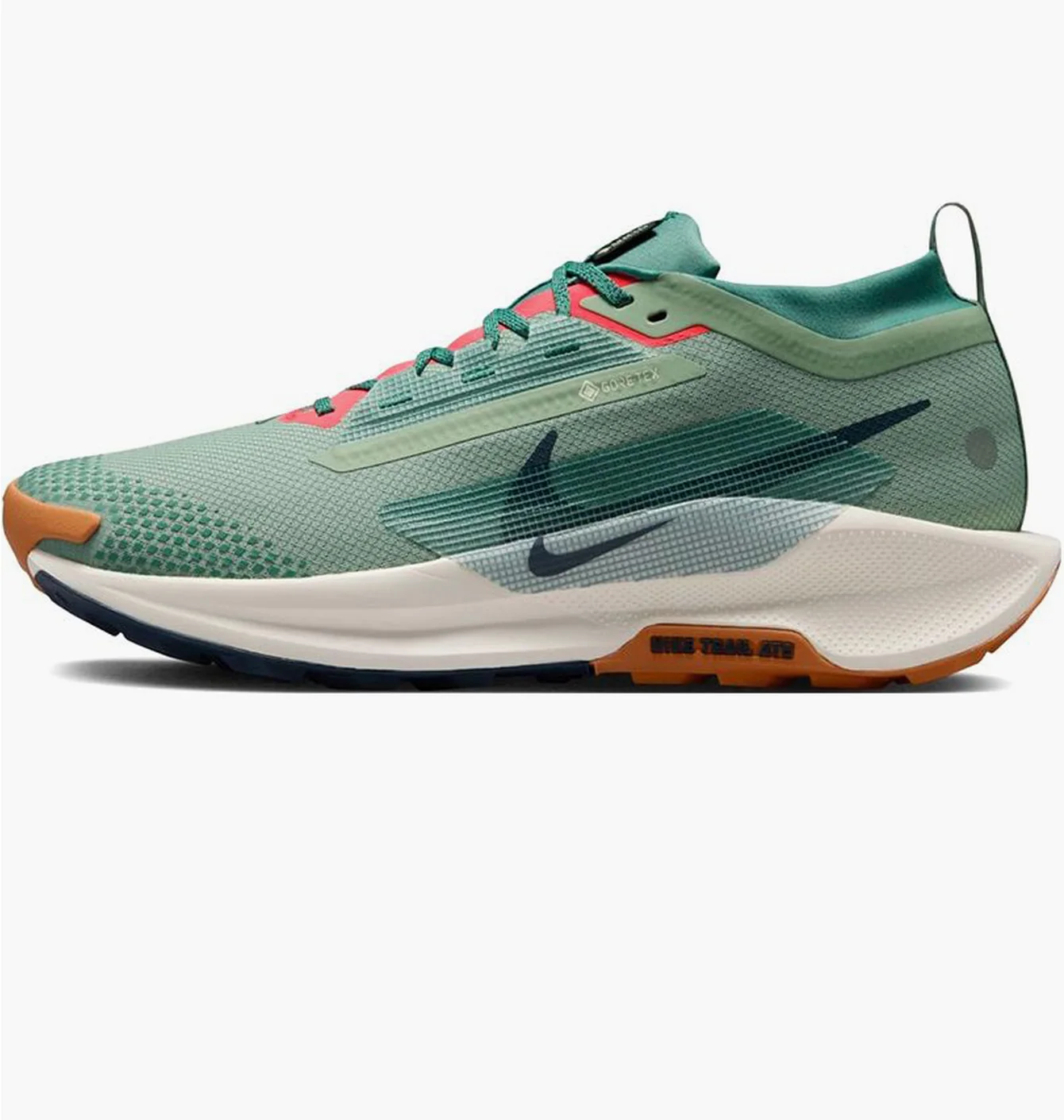 Кросівки чоловічі Nike Pegasus Trail 5 Gore-Tex Green FQ0908-300
