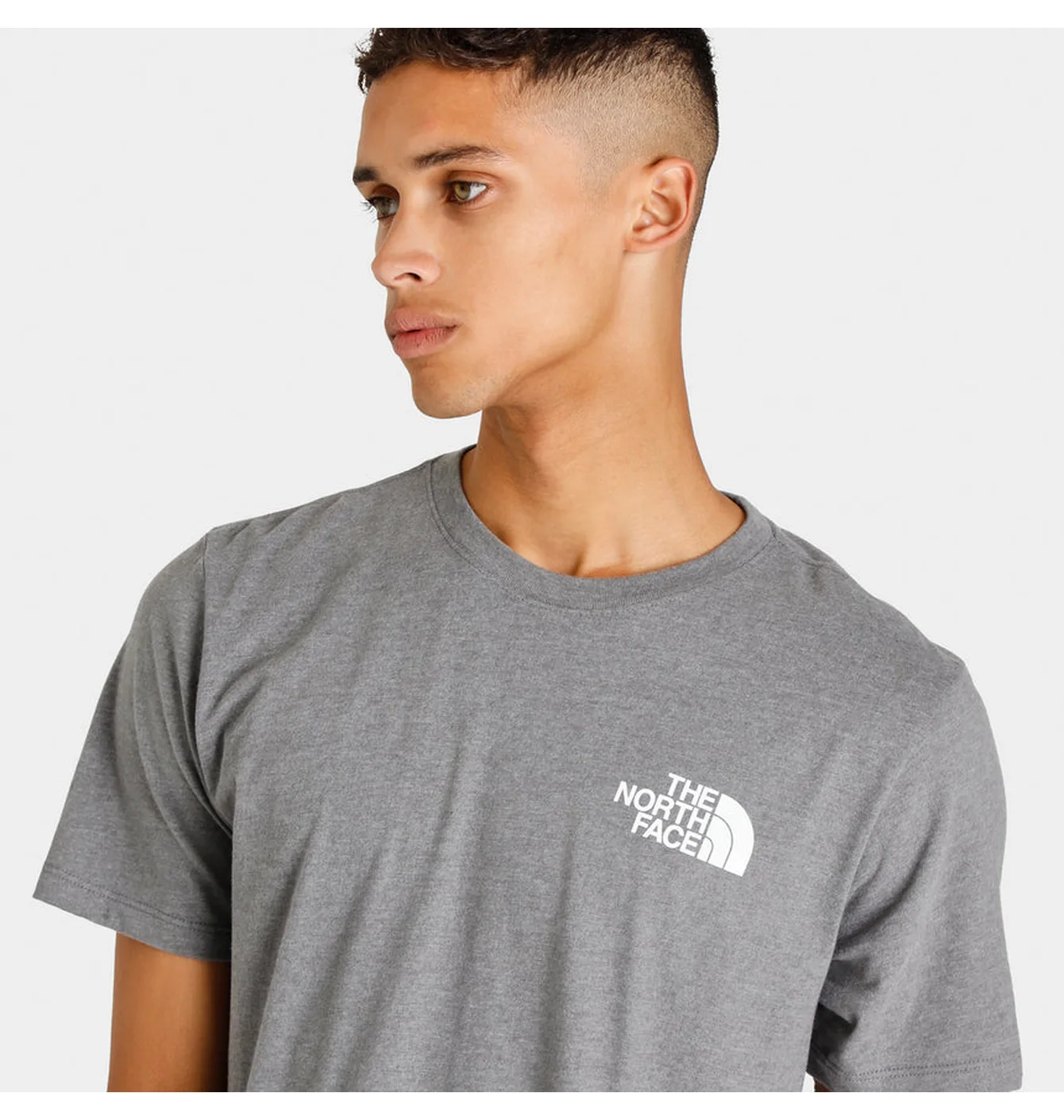 Футболка чоловіча The North Face Box Nse Tee Grey NF0A4763GVD