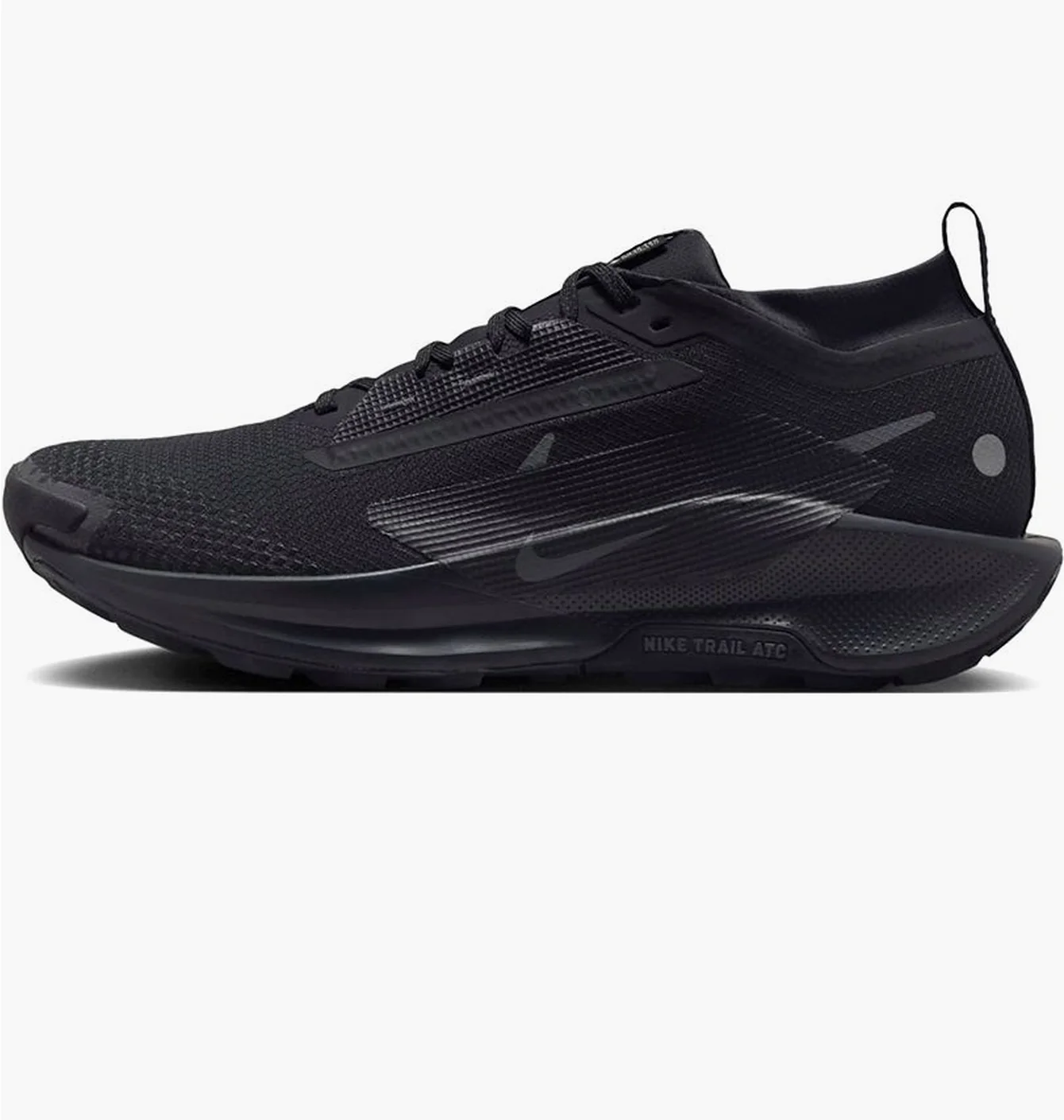 Кросівки чоловічі Nike Pegasus Trail 5 Gore-Tex Black FQ0908-002