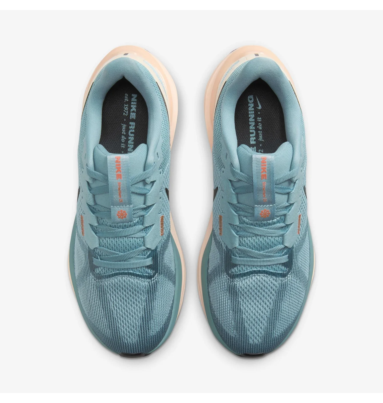 Кросівки жіночі Nike W Air Zoom Structure 25 Turquoise DJ7884-400
