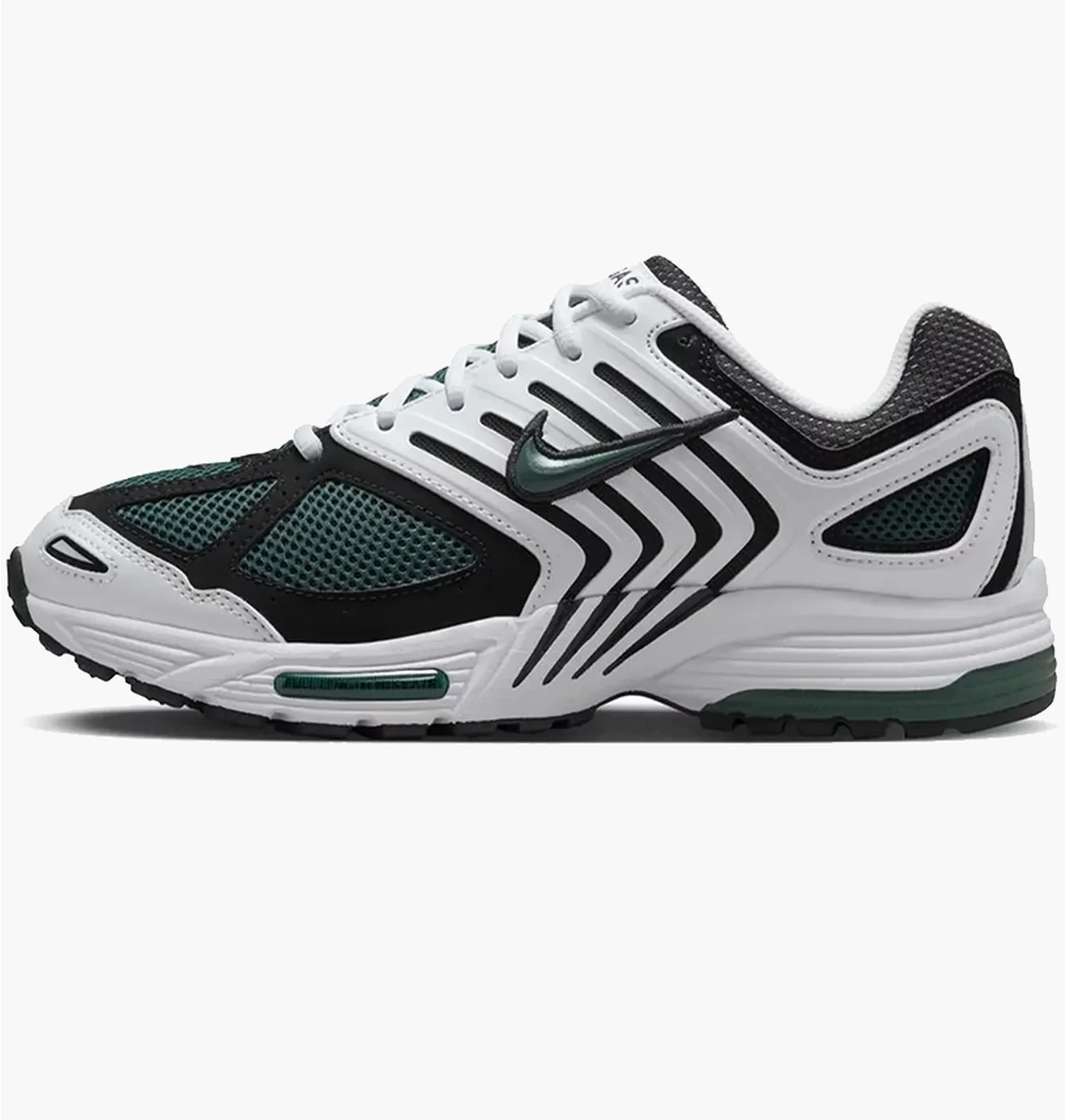 Nike Air Pegasus 2005