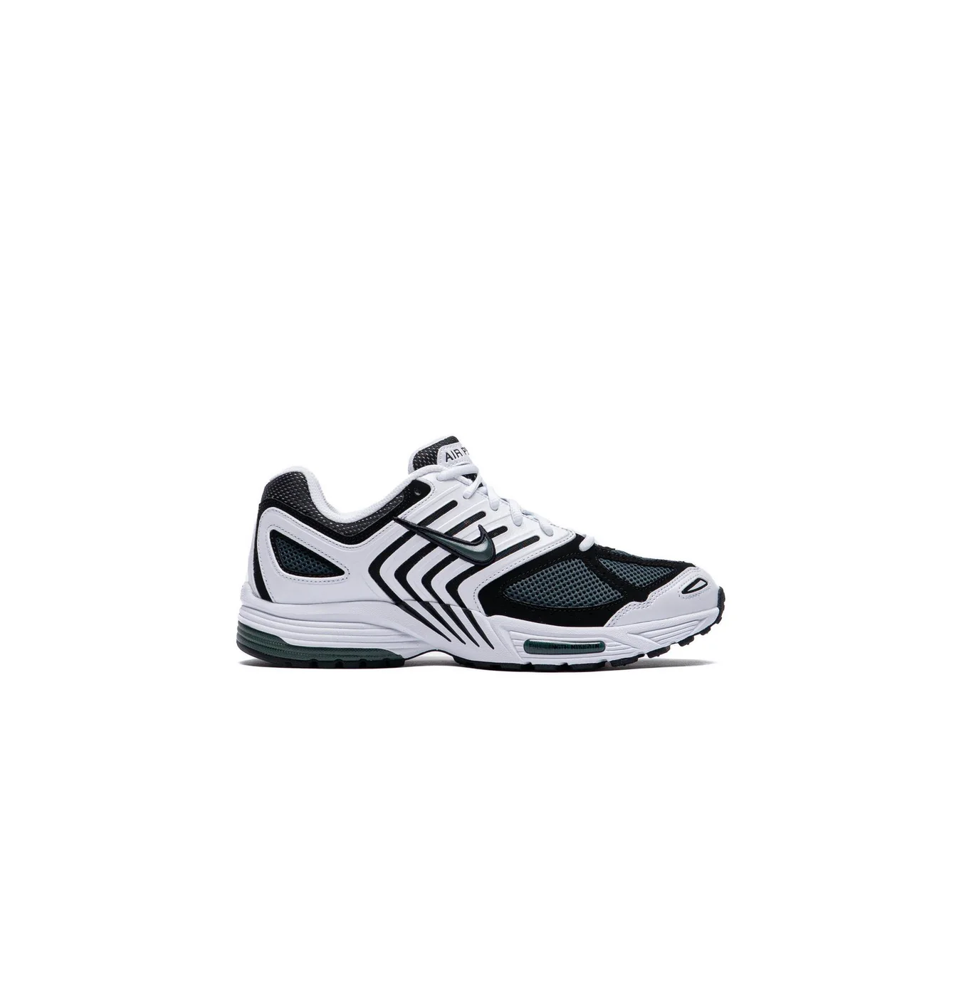 Nike Air Pegasus 2005