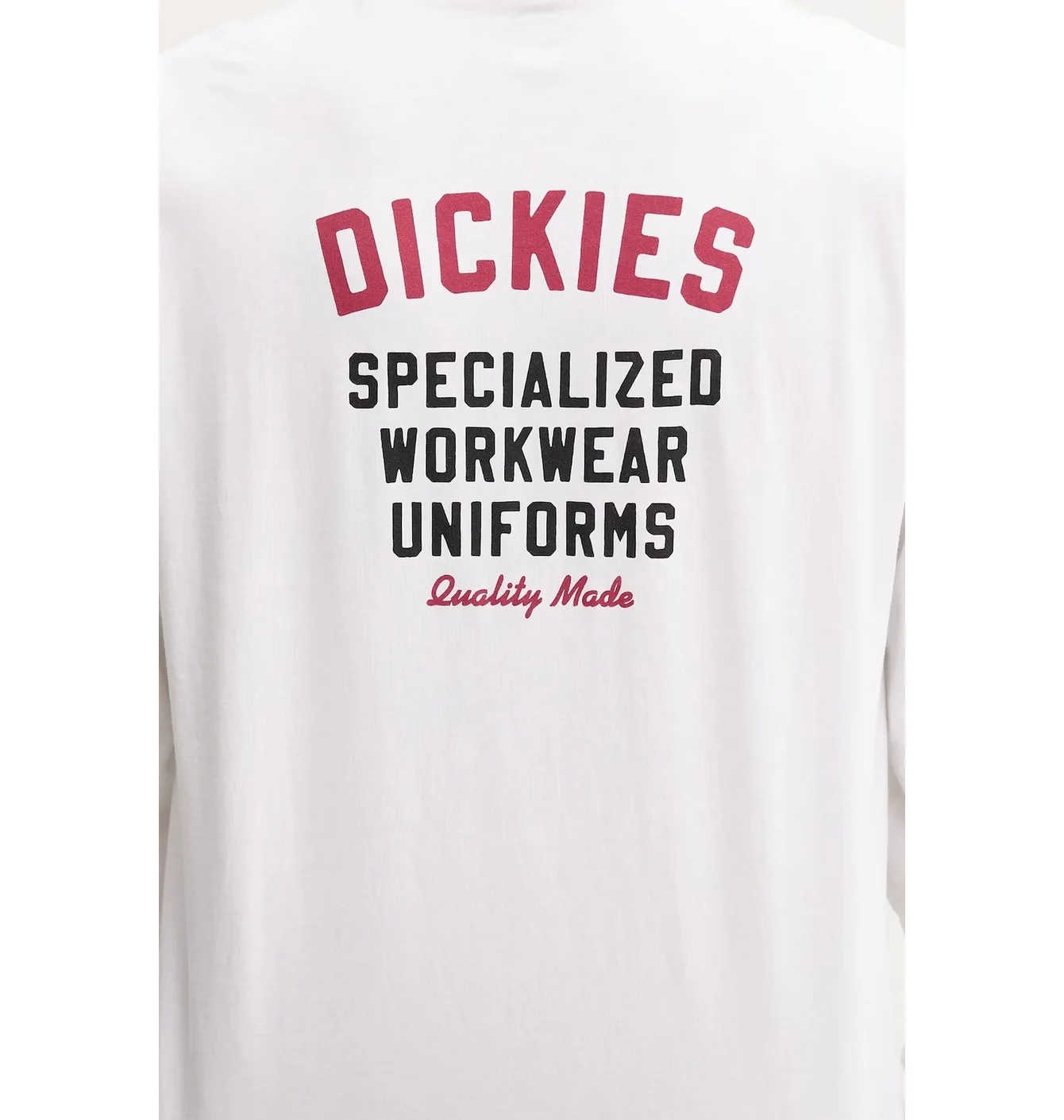Лонгслів чоловічий Dickies Longsleeve White DK0A4Z930WH1