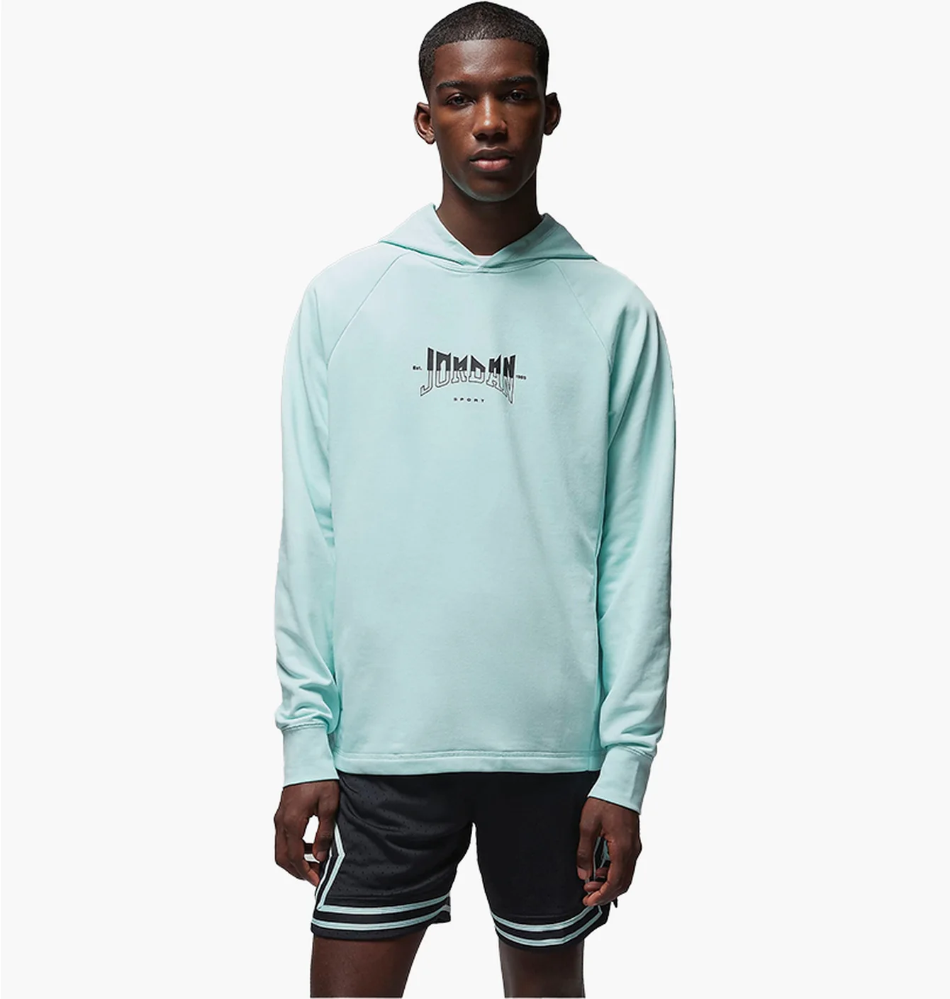 Худі чоловіче Air Jordan Dri-Fit Sport Graphic Fleece Pullover Hoodie Light Blue FQ6808-346