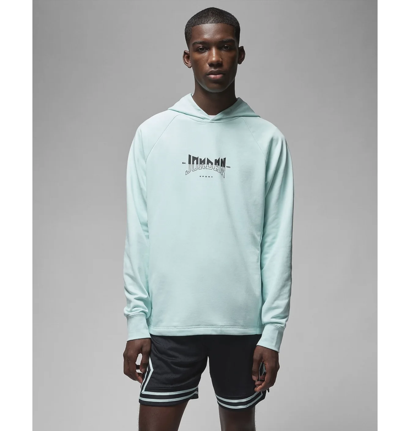 Худі чоловіче Air Jordan Dri-Fit Sport Graphic Fleece Pullover Hoodie Light Blue FQ6808-346