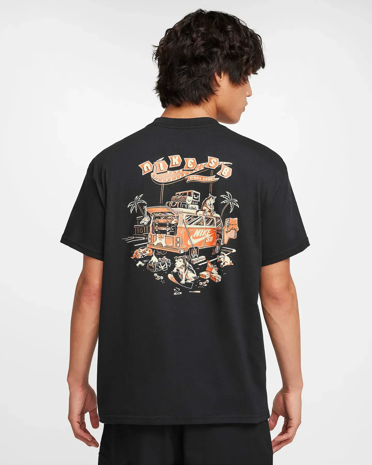Футболка чоловіча Nike Sb T-Shirt (FZ6706-010)