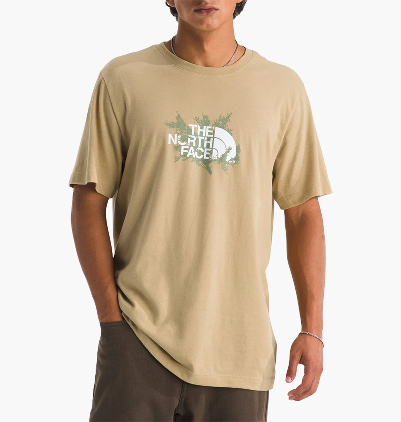Футболка чоловіча The North Face Meadow Mist Regular Beige NF0A8GSJJK3