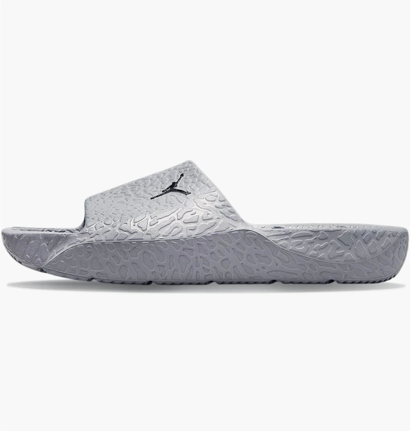 Тапочки чоловічі Air Jordan Franchise Grey HQ2163-002