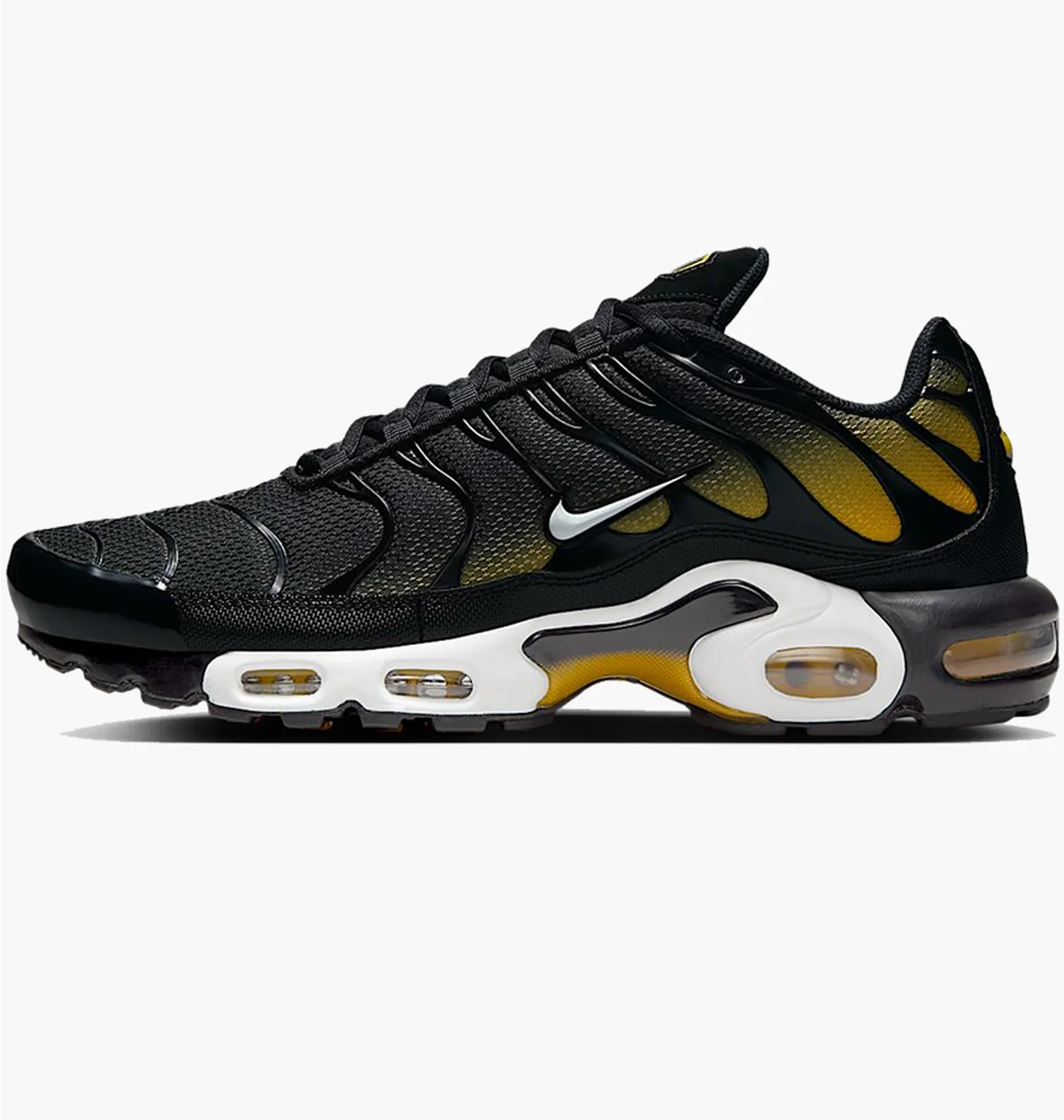 Кросівки чоловічі Nike Air Max Plus Black DM0032-013
