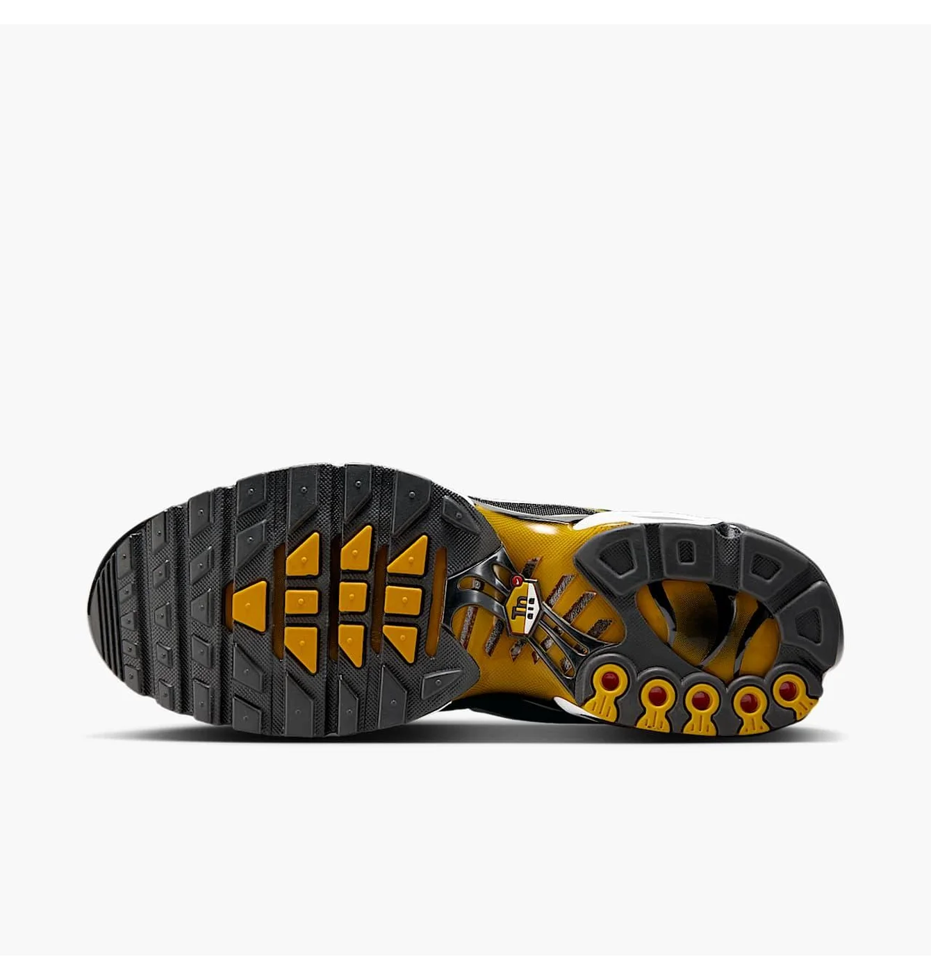 Кросівки чоловічі Nike Air Max Plus Black DM0032-013