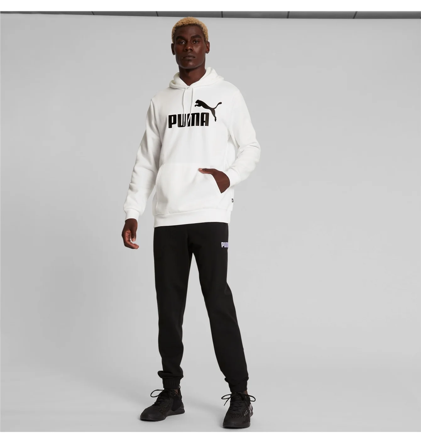 Худі чоловіче Puma Essentials Big Logo Hoodie White 846812-02