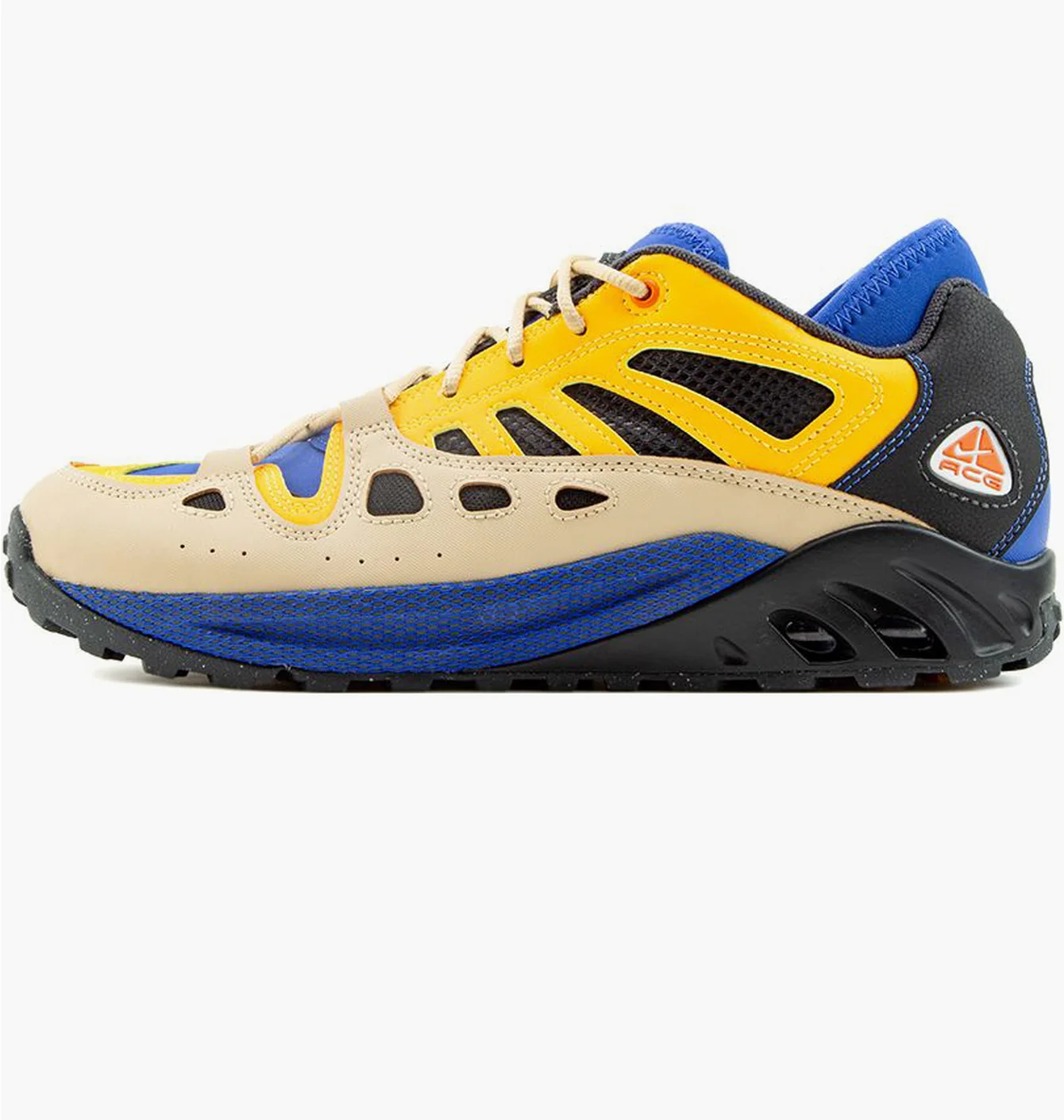 Кросівки чоловічі Nike Acg Air Exploraid Hyper Royal Multi FJ1920-400