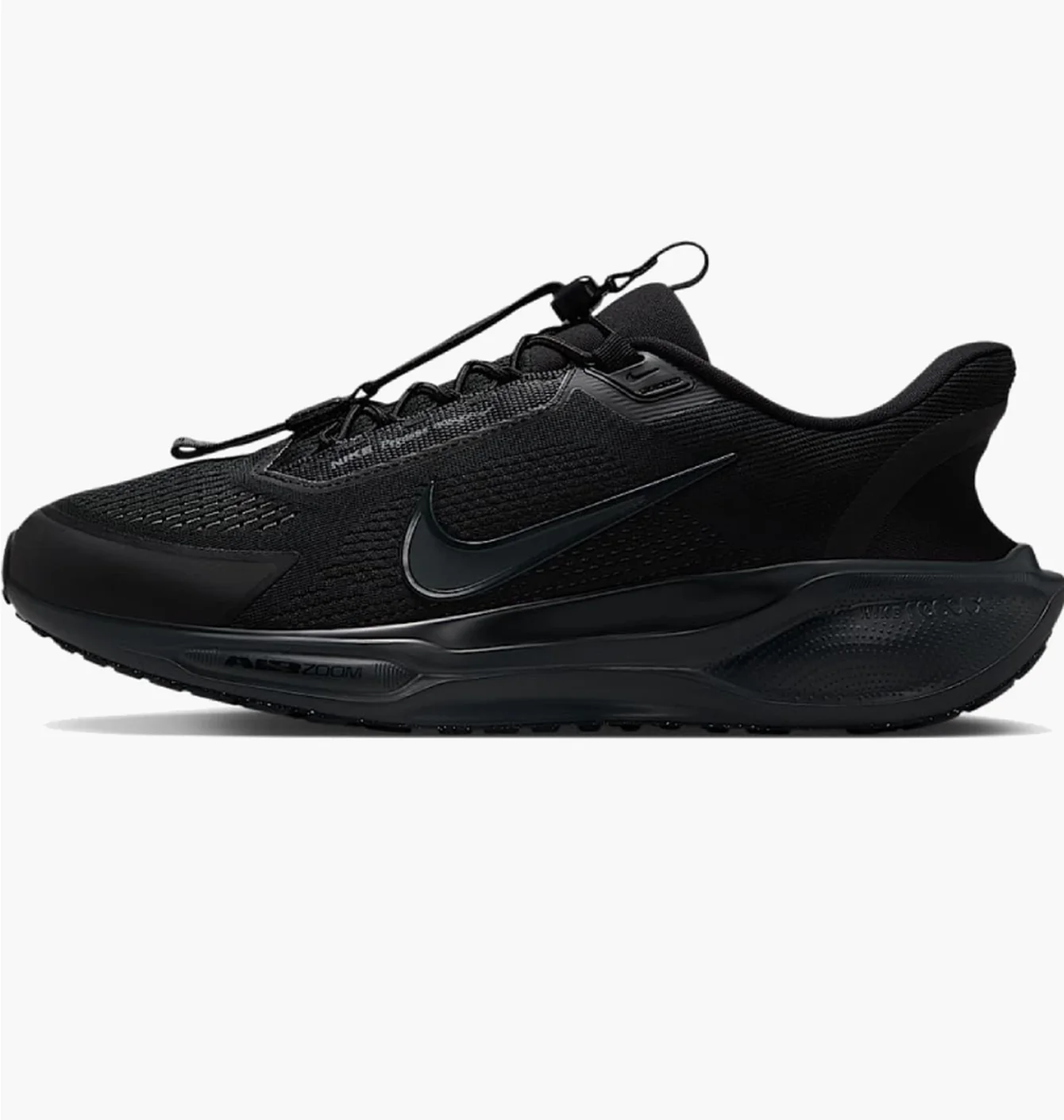 Кросівки чоловічі Nike Pegasus Easyon Black FQ7837-001