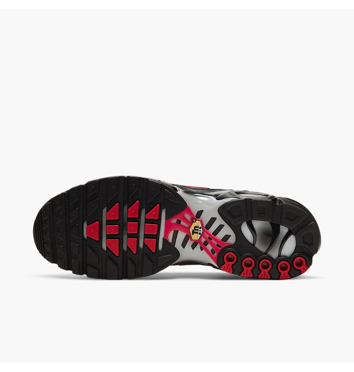 Кросівки чоловічі Nike Air Max Plus Grey/Black DJ0638-001