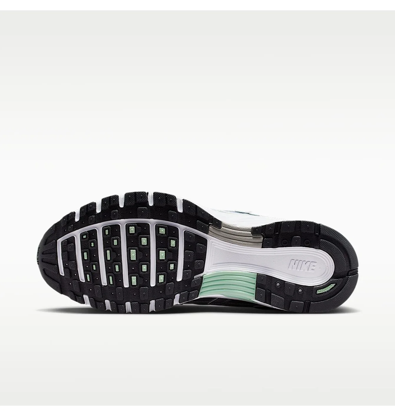 Кросівки жіночі Nike P-6000 WomenS Shoes Metallic BV1021-017