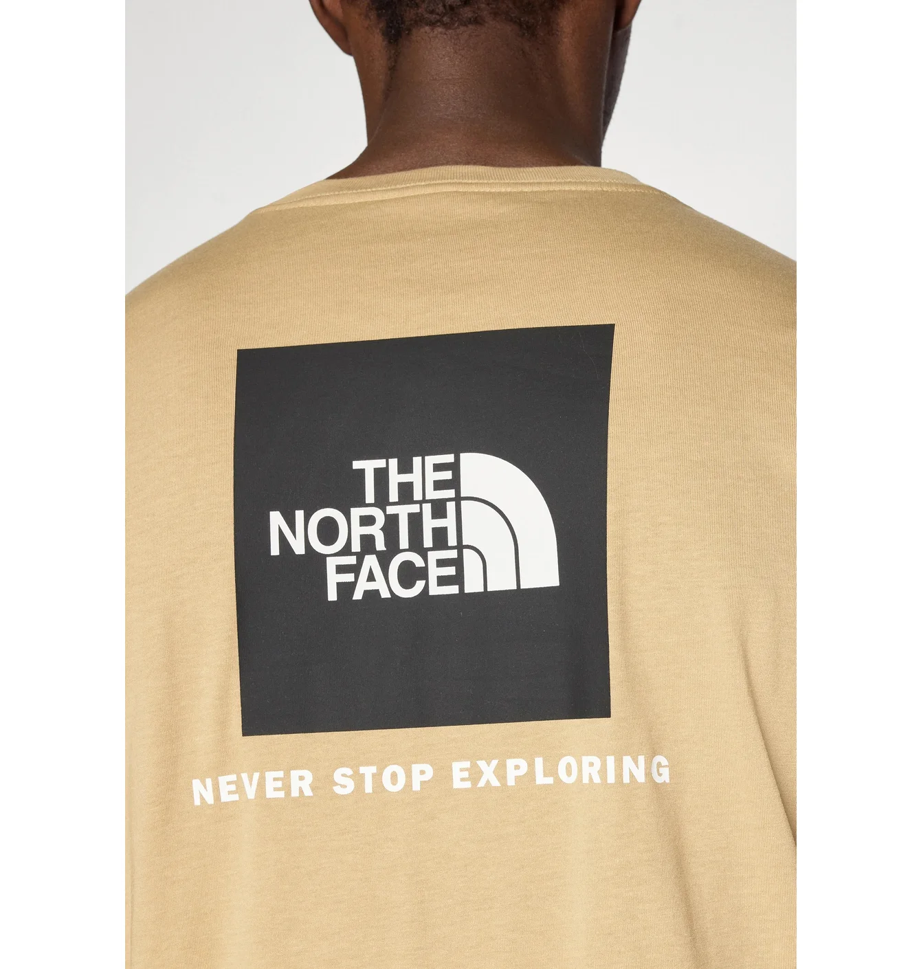 Футболка чоловіча The North Face Evolution Box Beige NF0A8B6KB0X