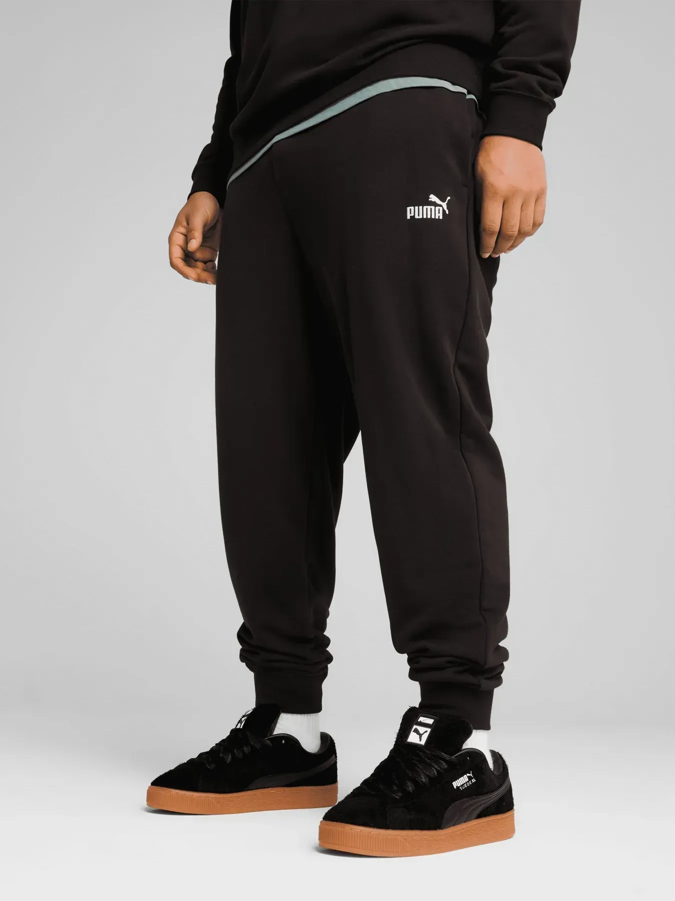 Брюки чоловічі Puma Ess No. 1 Logo Sweatpants (68260801)