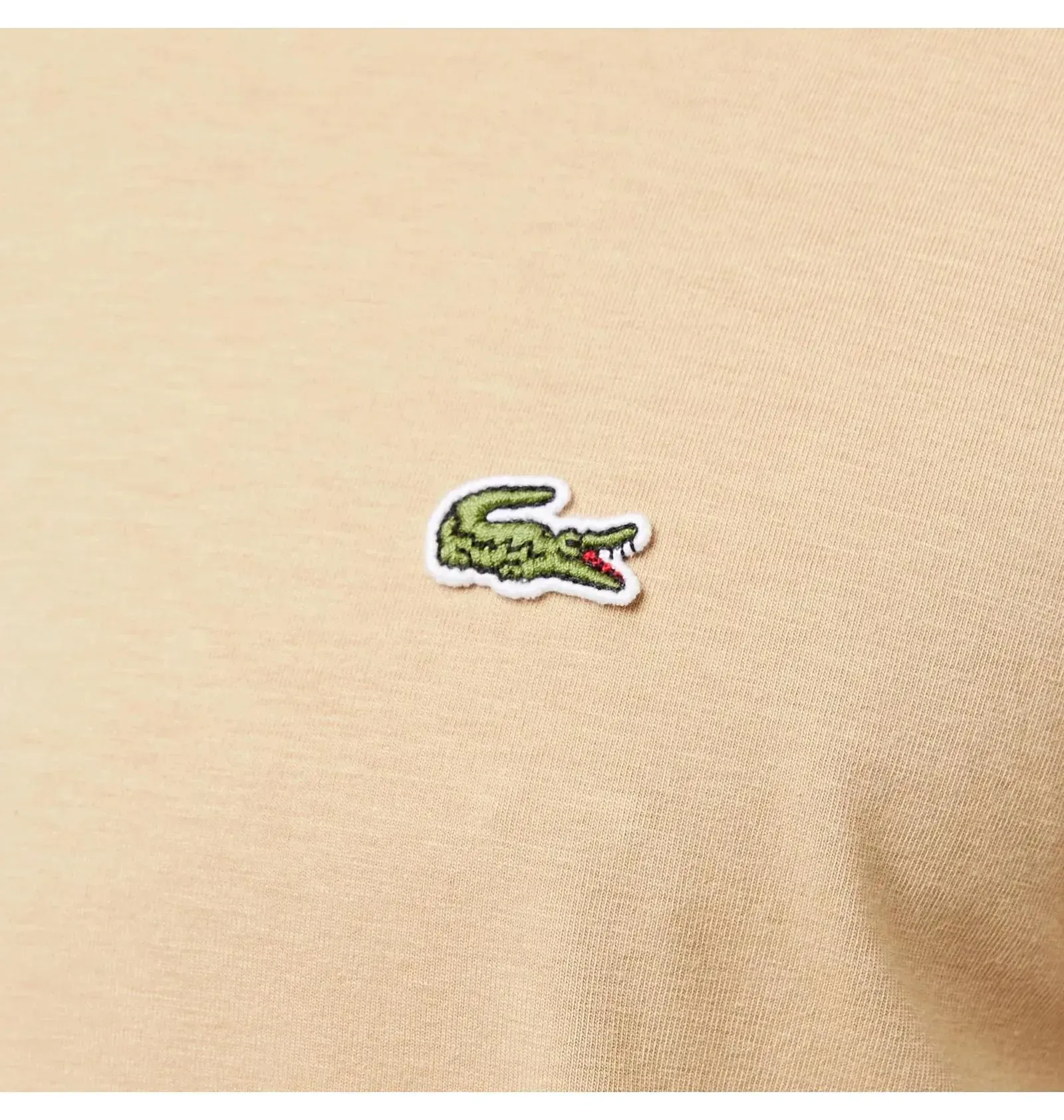 Футболка чоловіча Lacoste Lacoste T-Shirt (TH099802S)