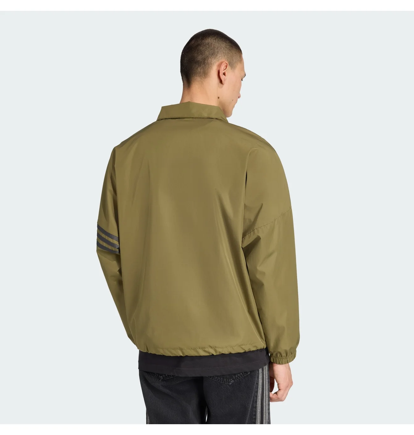 Олімпійка чоловіча Adidas Neuclassics Olive JW5451