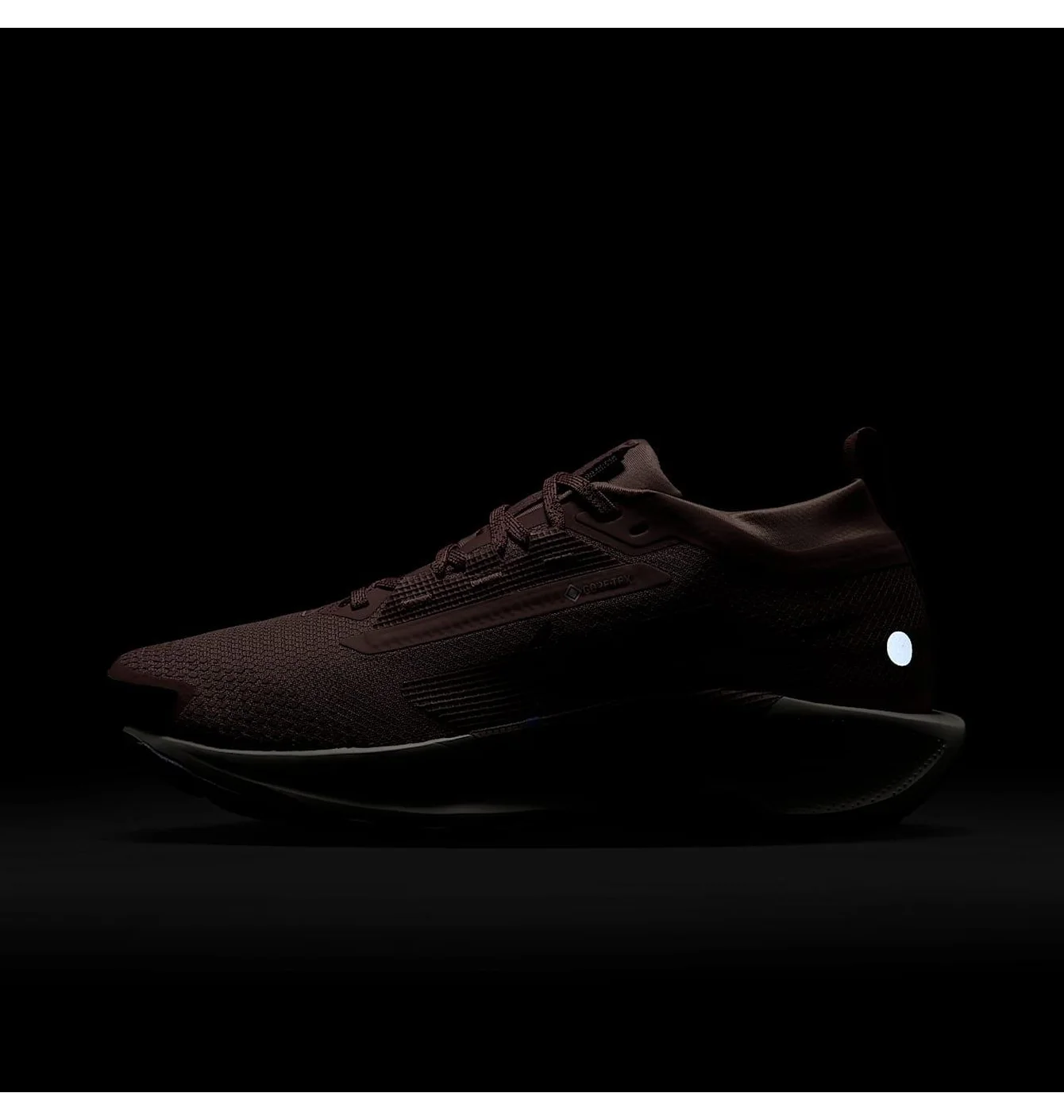 W NIKE PEGASUS TRAIL 5 GTX