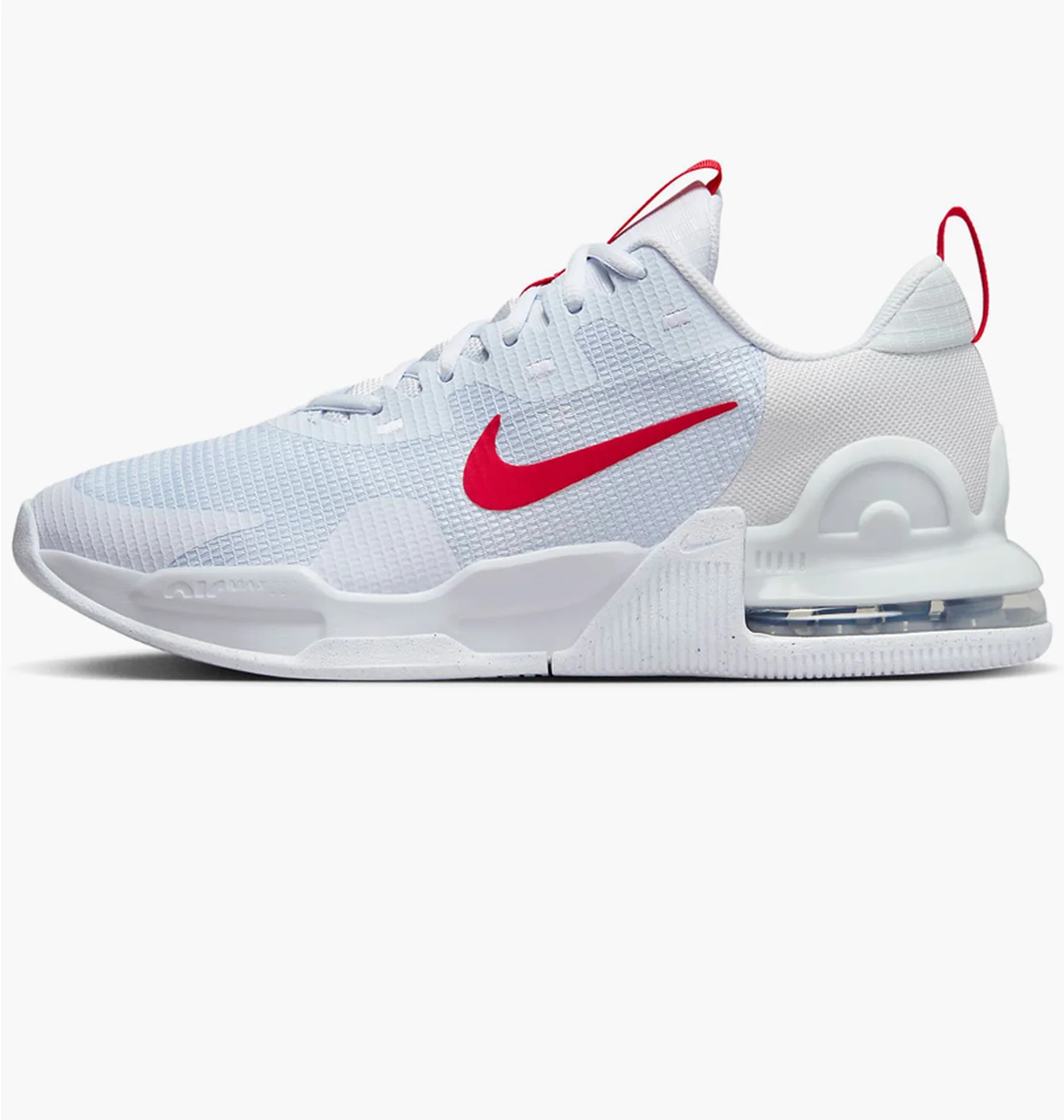 Кросівки чоловічі Nike Air Max Alpha Trainer 5 Light Blue DM0829-012