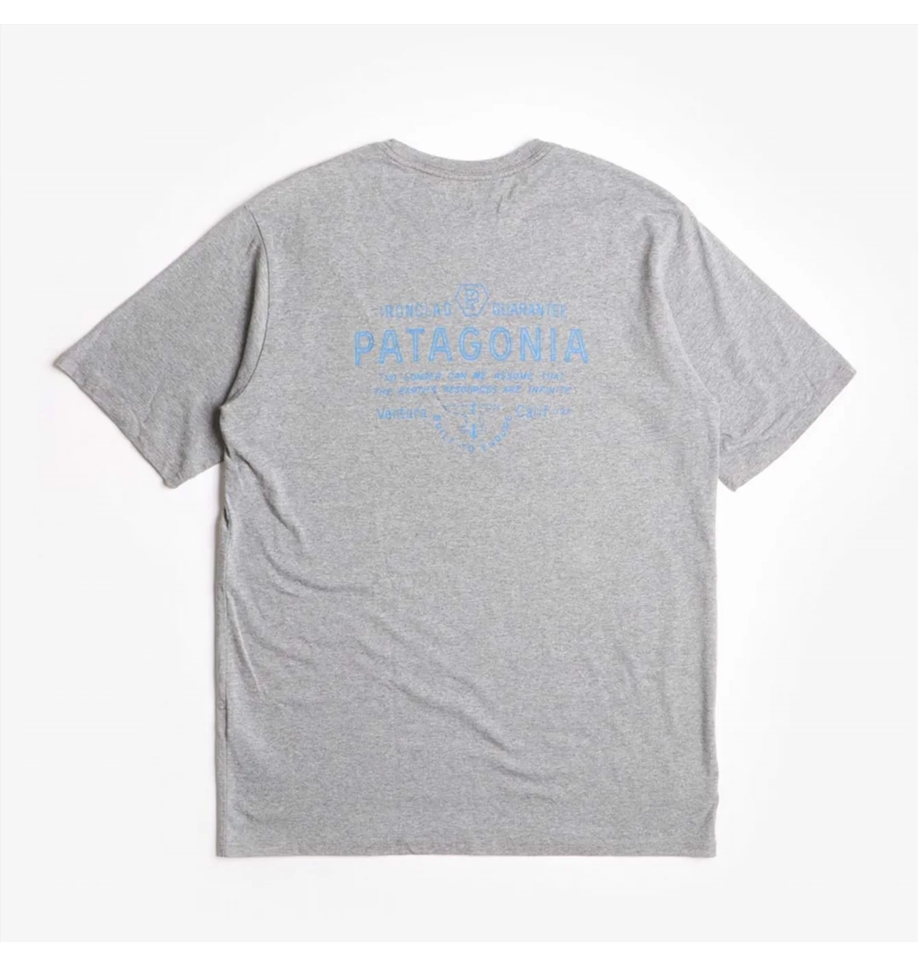 Футболка чоловіча Patagonia Forge Mark Responsibili-Tee T-Shirt Grey 37572