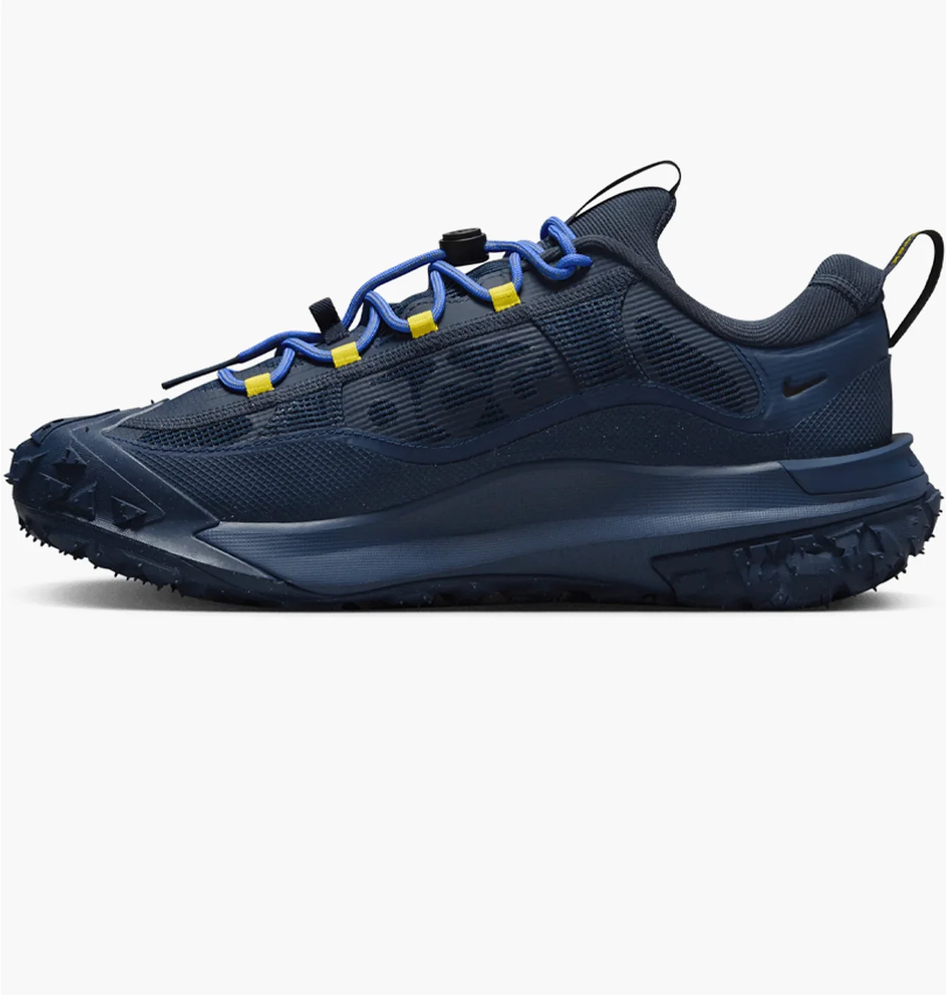 Nike ACG Mountain Fly 2 Low GTX