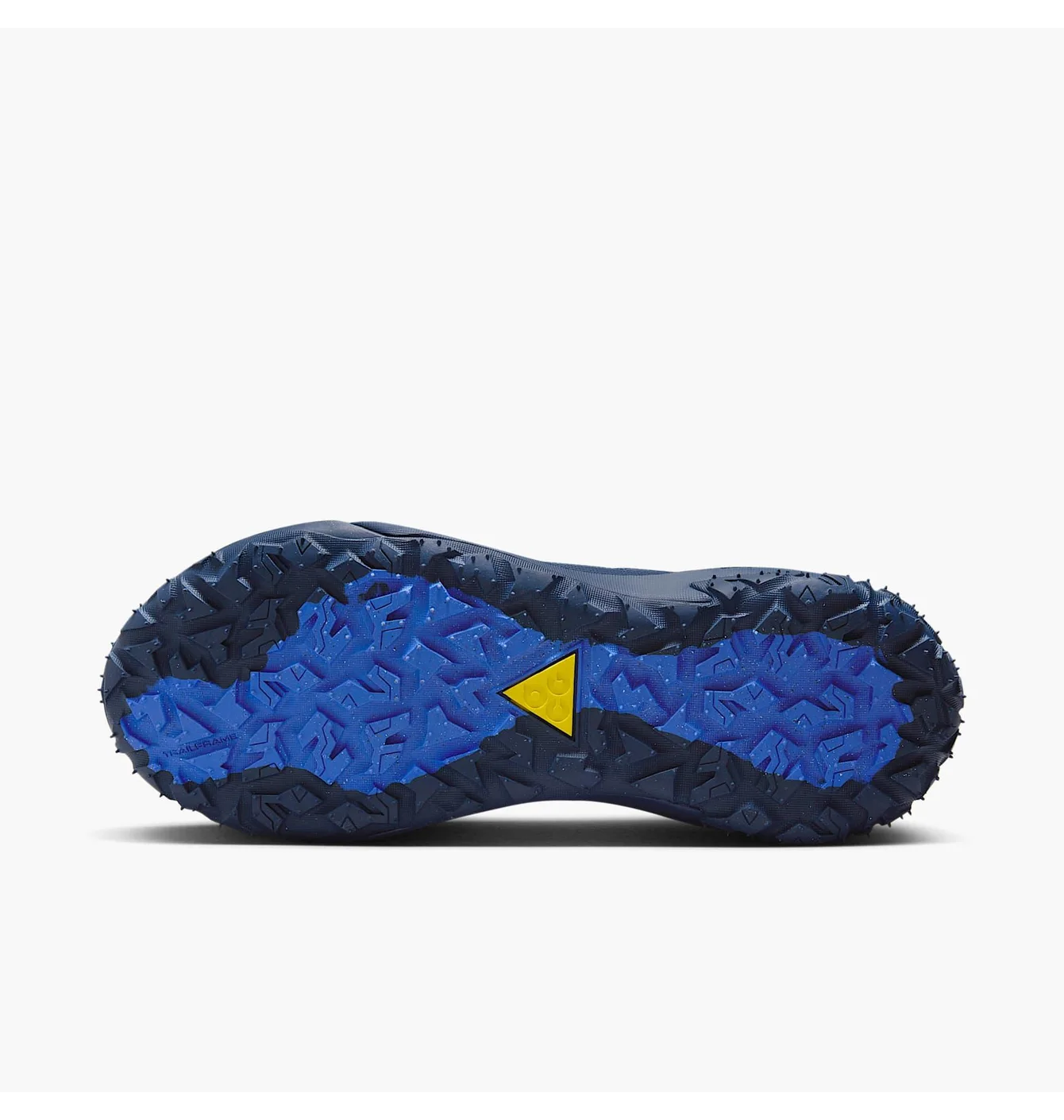 Nike ACG Mountain Fly 2 Low GTX