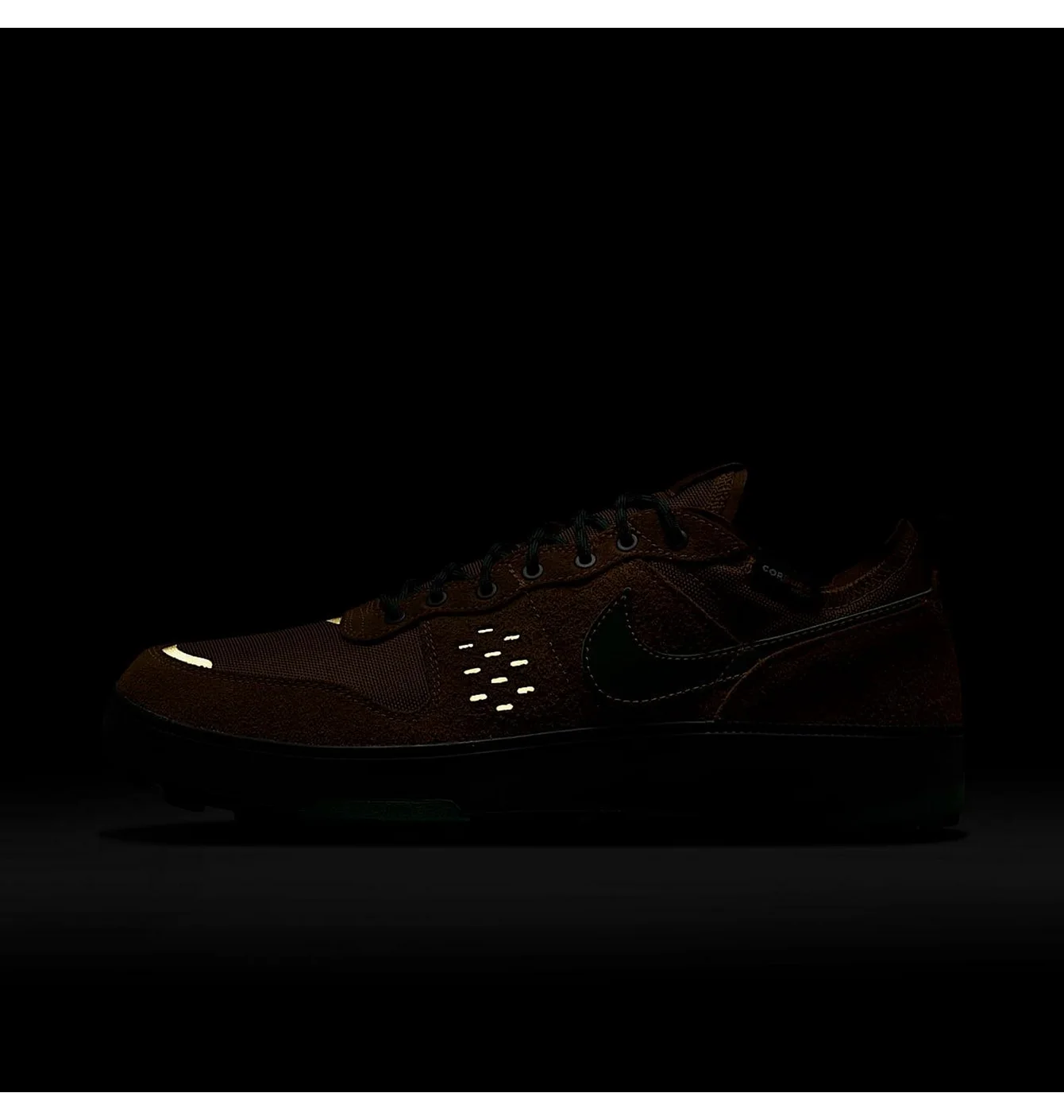 Кросівки чоловічі Nike C1Ty Prm Brown HJ4316-201
