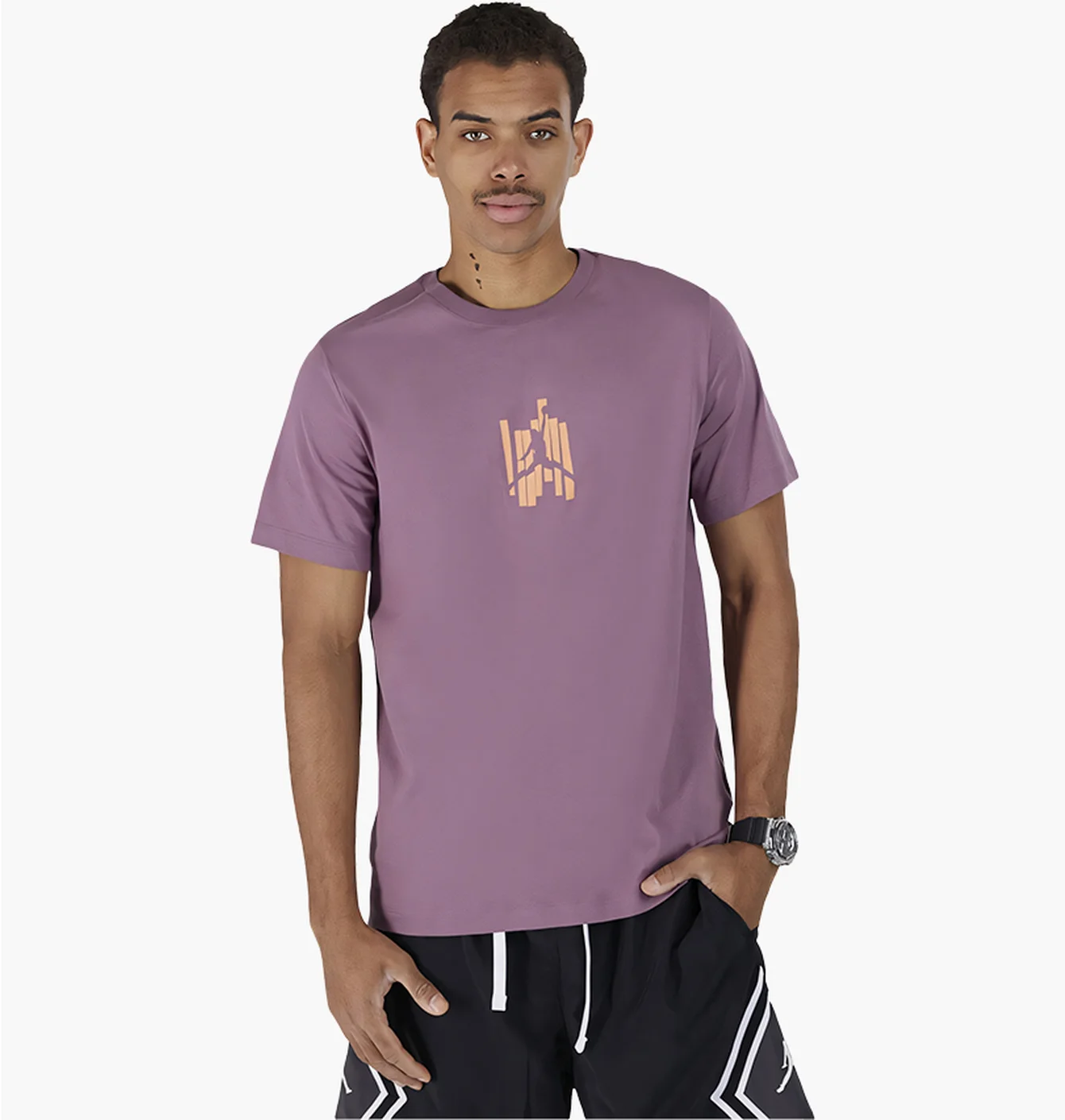 Футболка чоловіча Air Jordan Brand Graphic Tee Violet FD7025-508