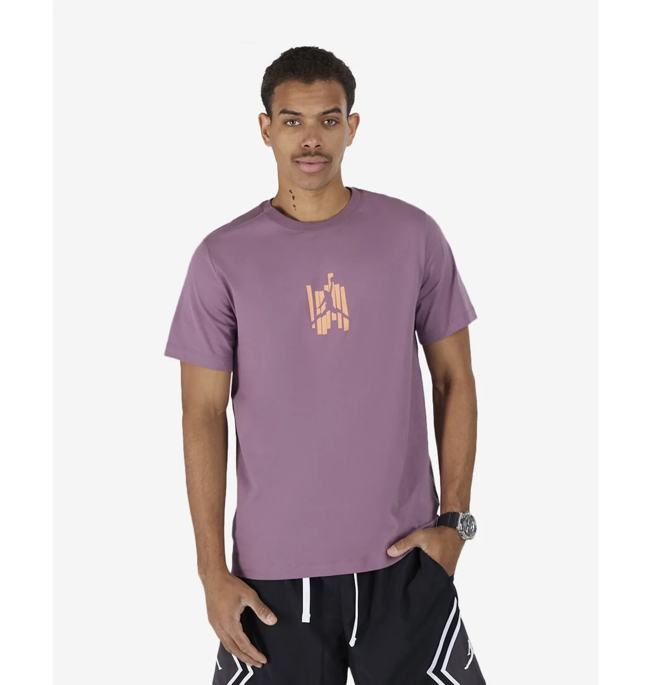 Футболка чоловіча Air Jordan Brand Graphic Tee Violet FD7025-508