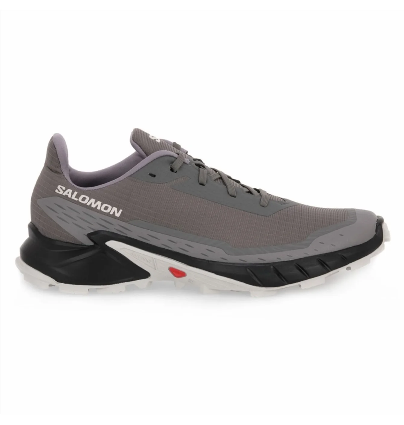 Кросівки чоловічі Salomon Alphacross 5 Gtx Grey 473133
