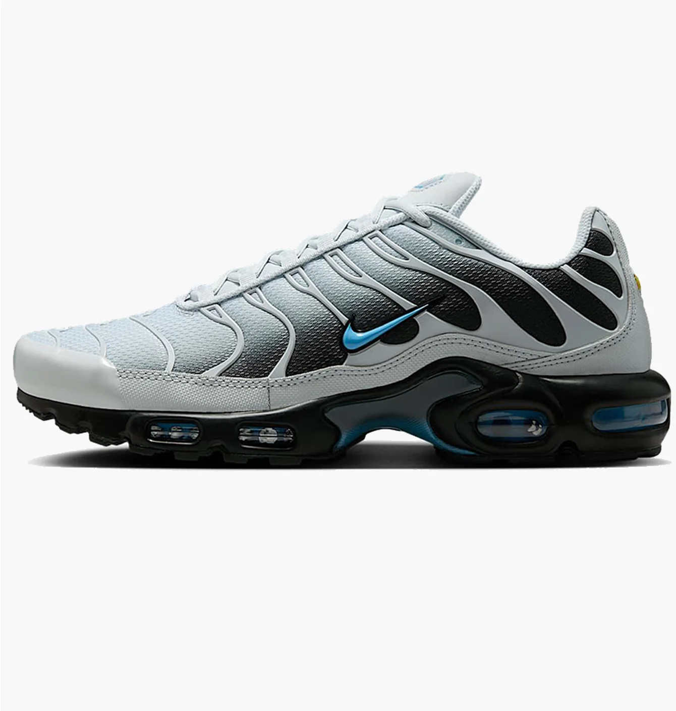 Кросівки чоловічі Nike Air Max Plus Pure Platinum Grey DM0032-015