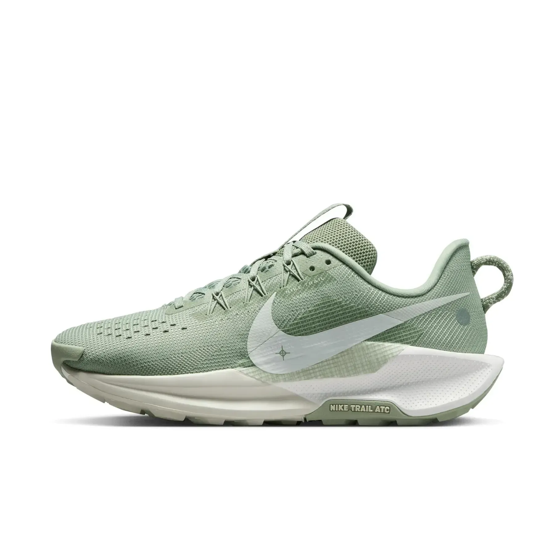 Кросівки жіночі Nike Pegasus Trail 5 (DV3865-301)