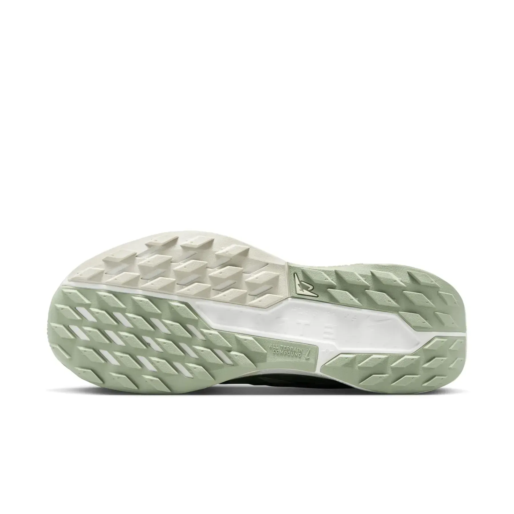Кросівки жіночі Nike Pegasus Trail 5 (DV3865-301)