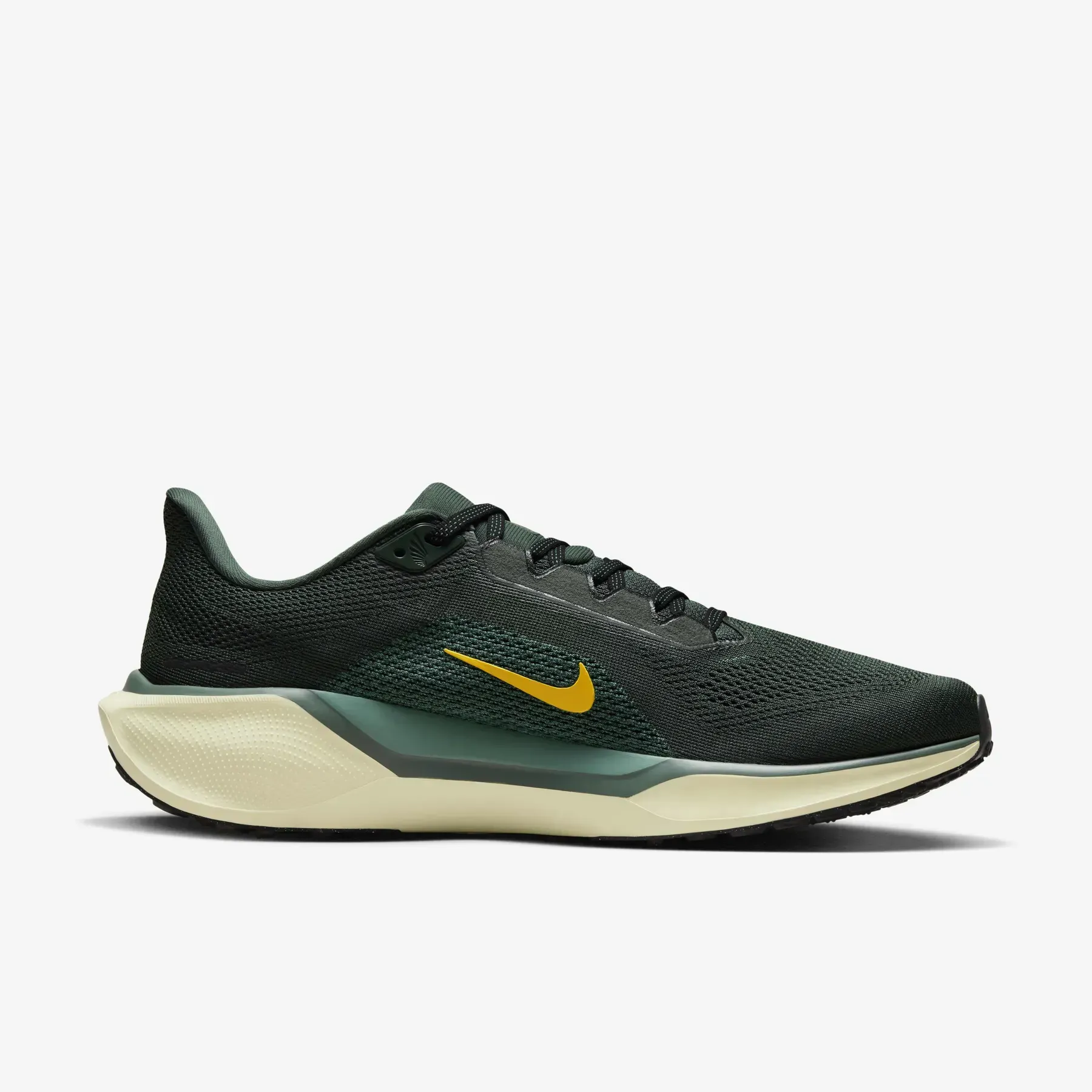 Кросівки чоловічі Nike Pegasus 41 (FD2722-301)