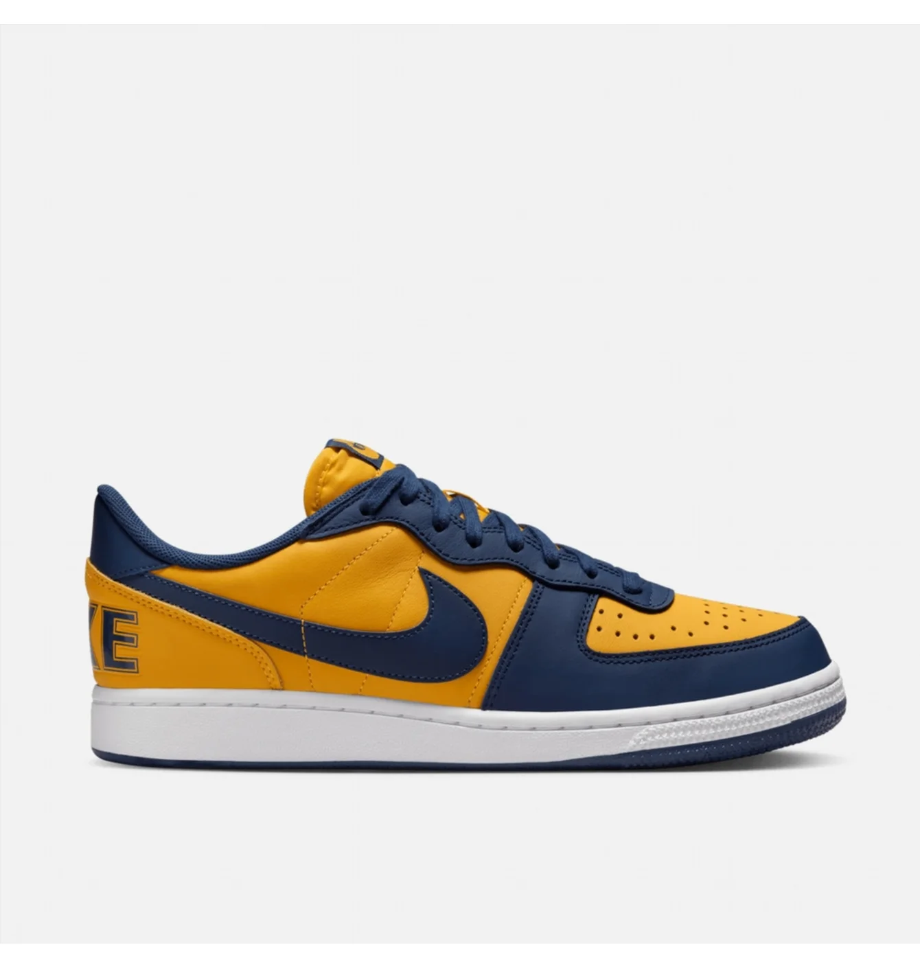 Кросівки чоловічі NIKE Terminator Low Og Blue/Yellow FJ4206-700