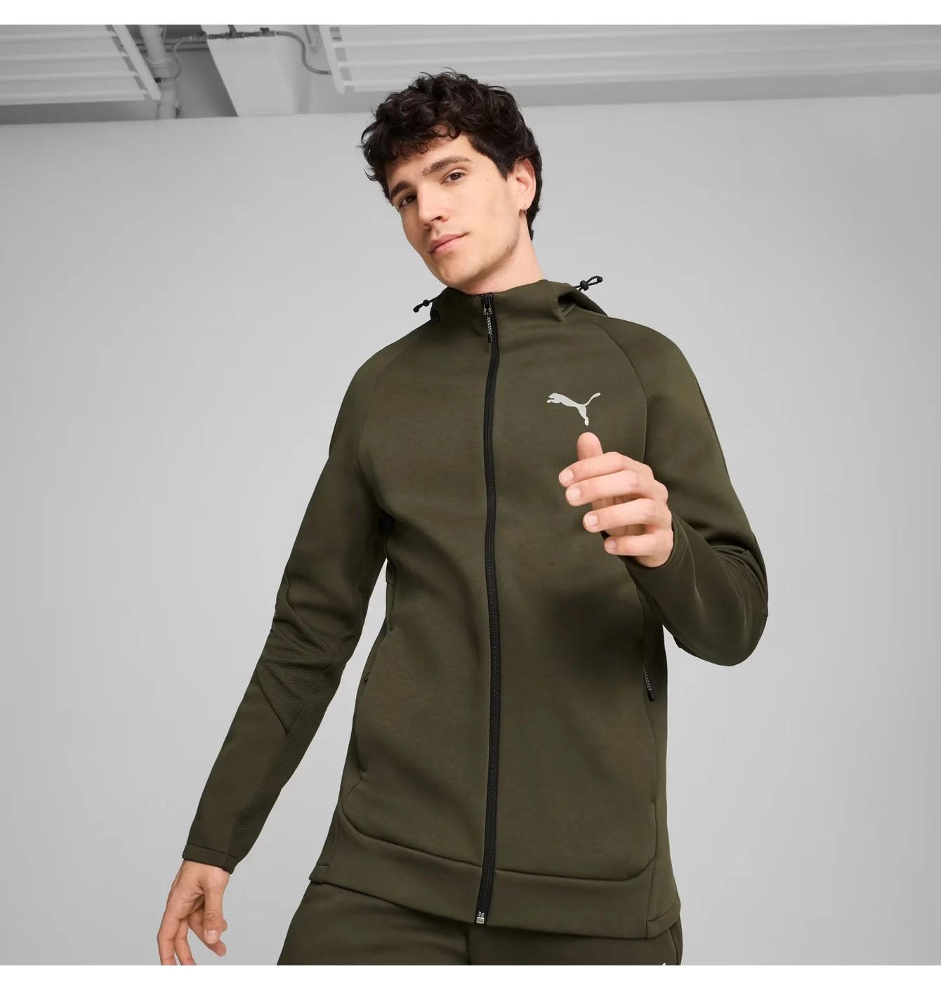 Толстовка чоловіча Puma Evostripe Olive 681700-70