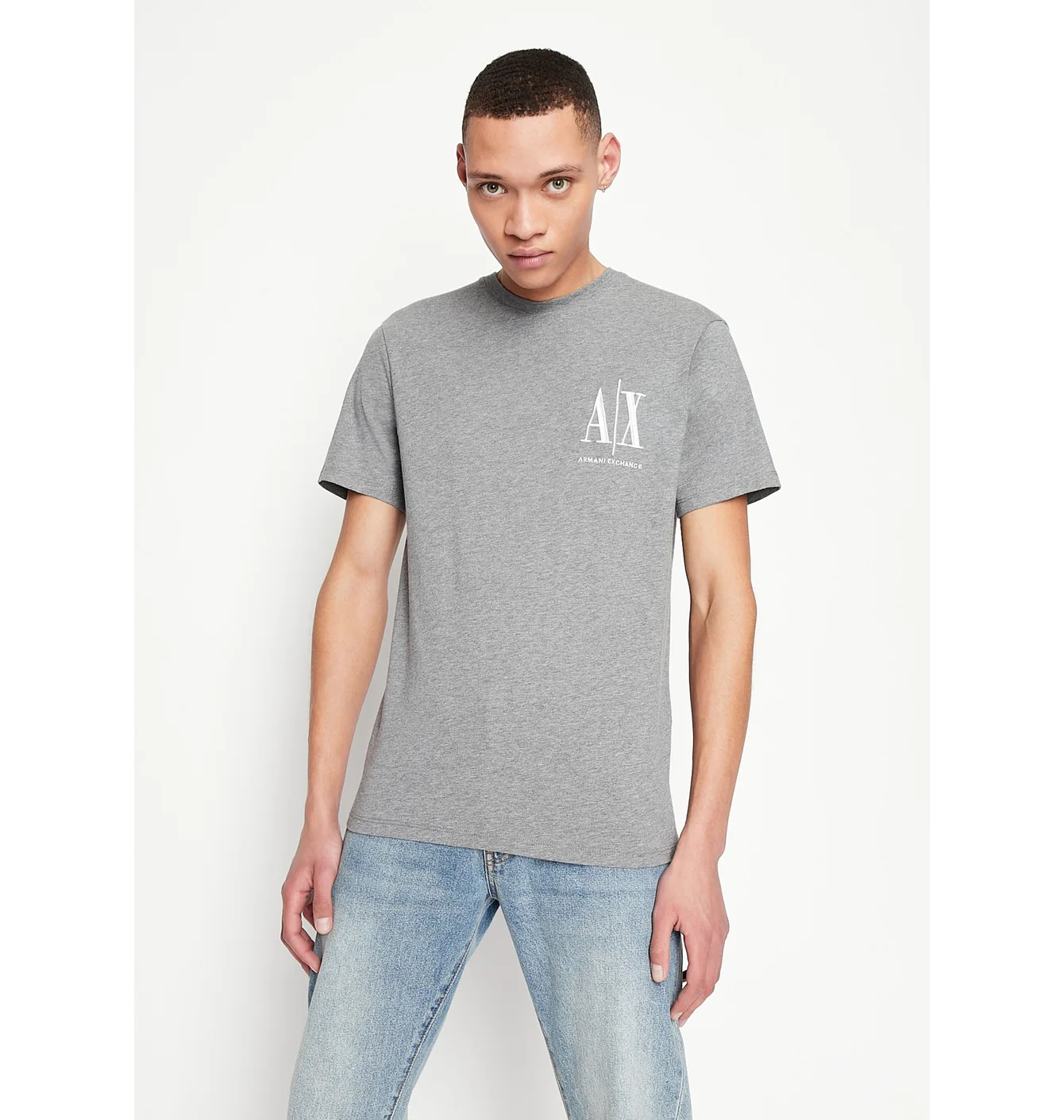 Футболка чоловіча Armani Exchange Icon Logo Regular Fit T-Shirt Grey 8NZTPHZJH4Z13930