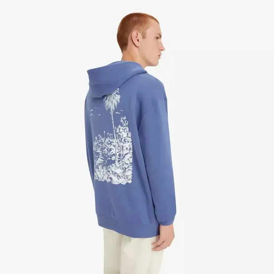 Кофта чоловіча Levi's Relaxed Fit Graphic Hoodie Blue (384790296)