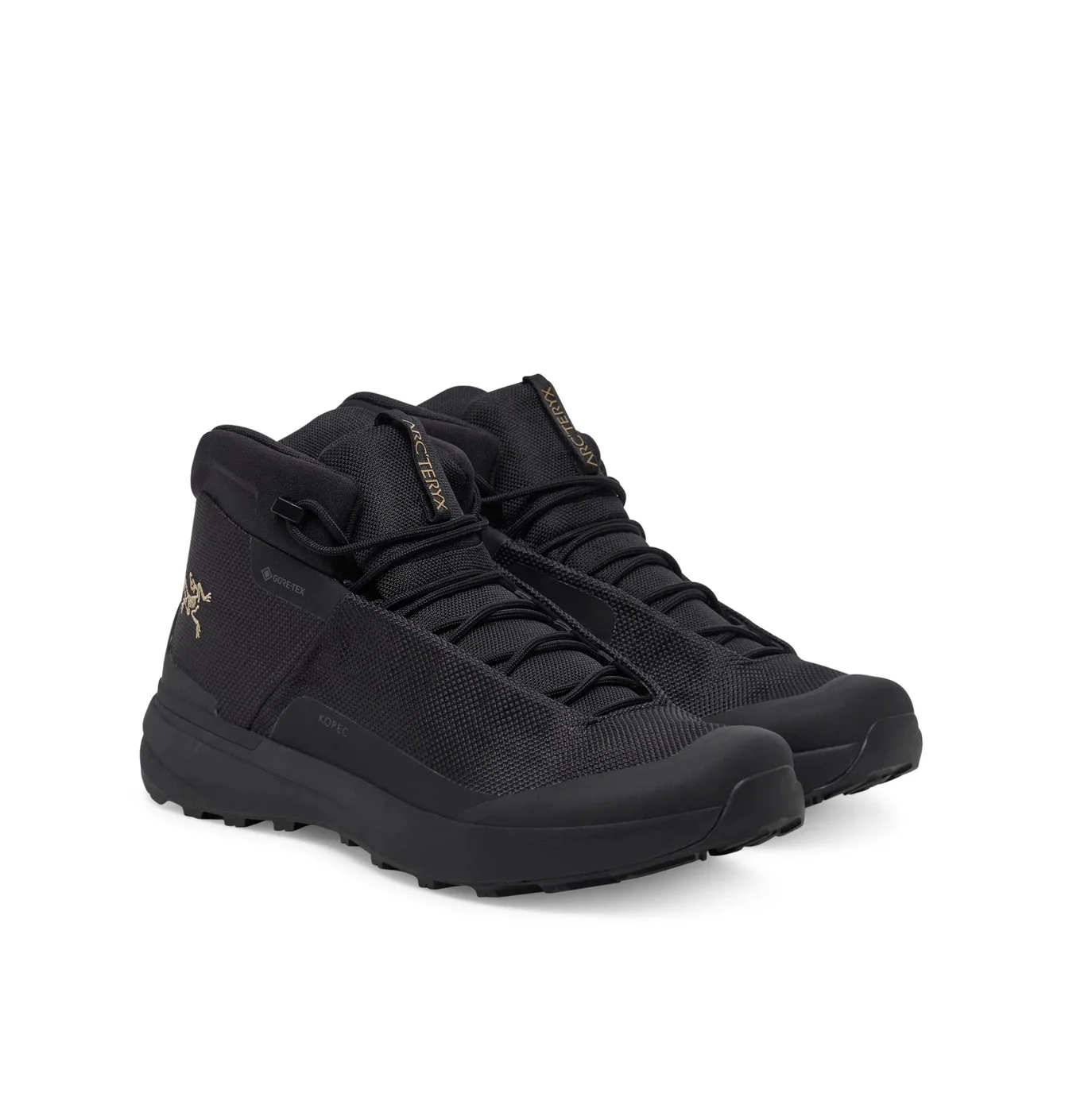 Черевики чоловічі Arc'teryx Kopec Mid Gtx Black X000010029