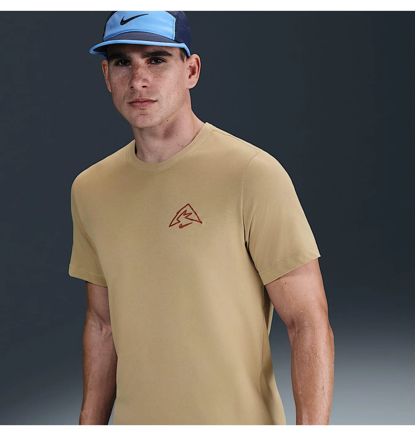 Футболка чоловіча Nike Western Beige HJ3662-297