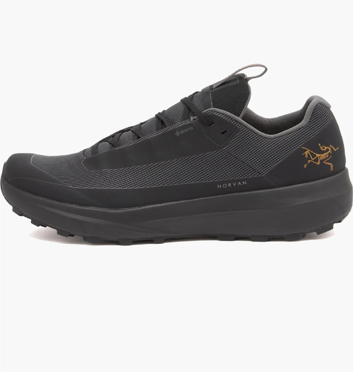 Кросівки чоловічі Arc'teryx Norvan Ld 4 Gtx Black X000009612