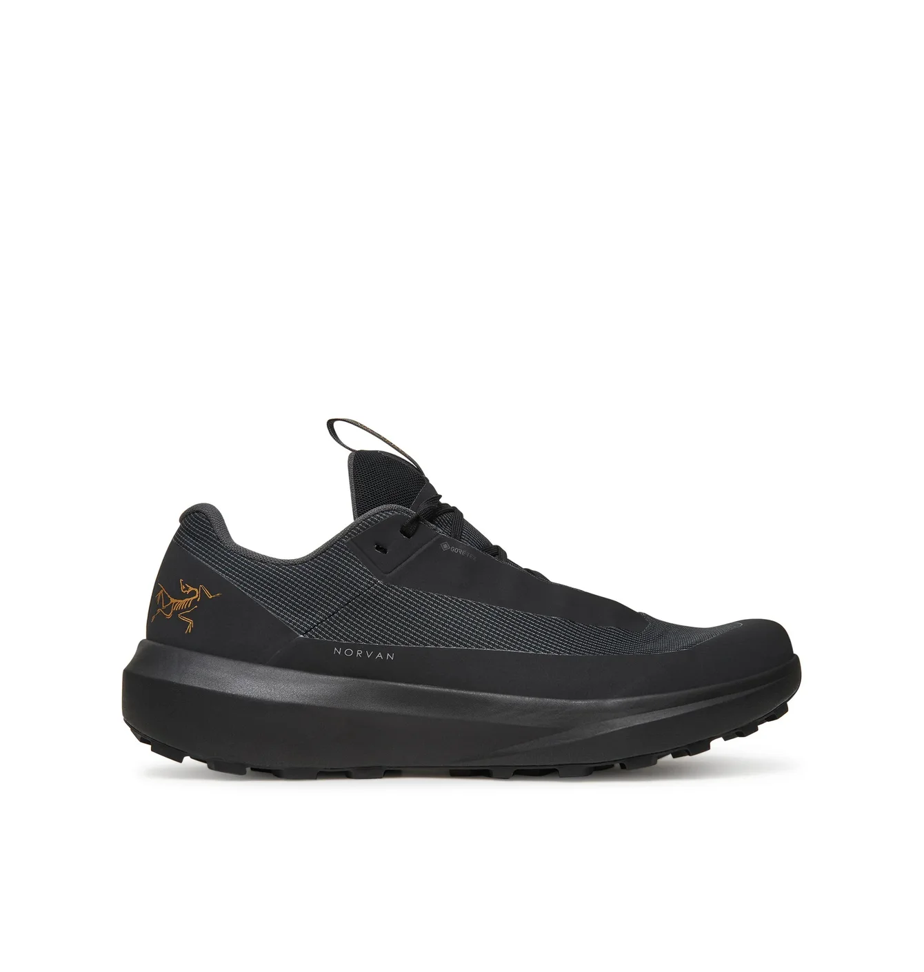 Кросівки чоловічі Arc'teryx Norvan Ld 4 Gtx Black X000009612