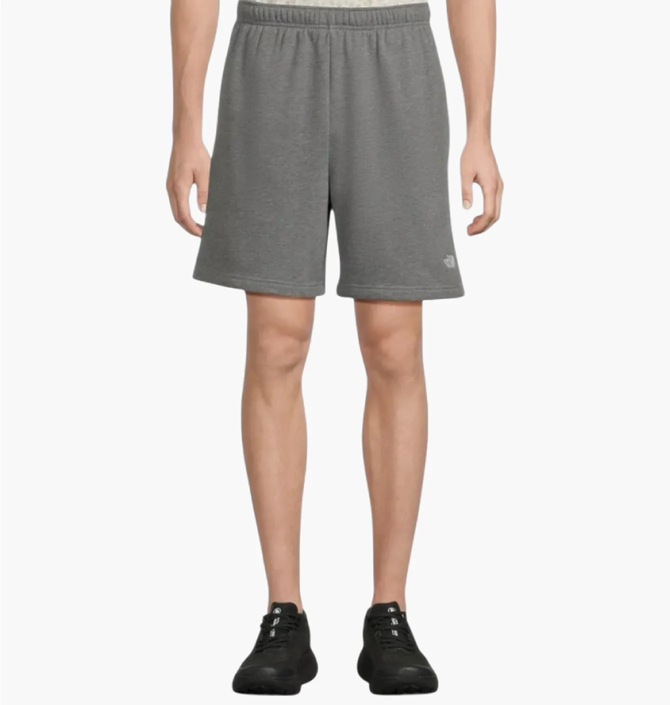Шорти чоловічі The North Face Evolution Emb Grey NF0ABCWWCQI