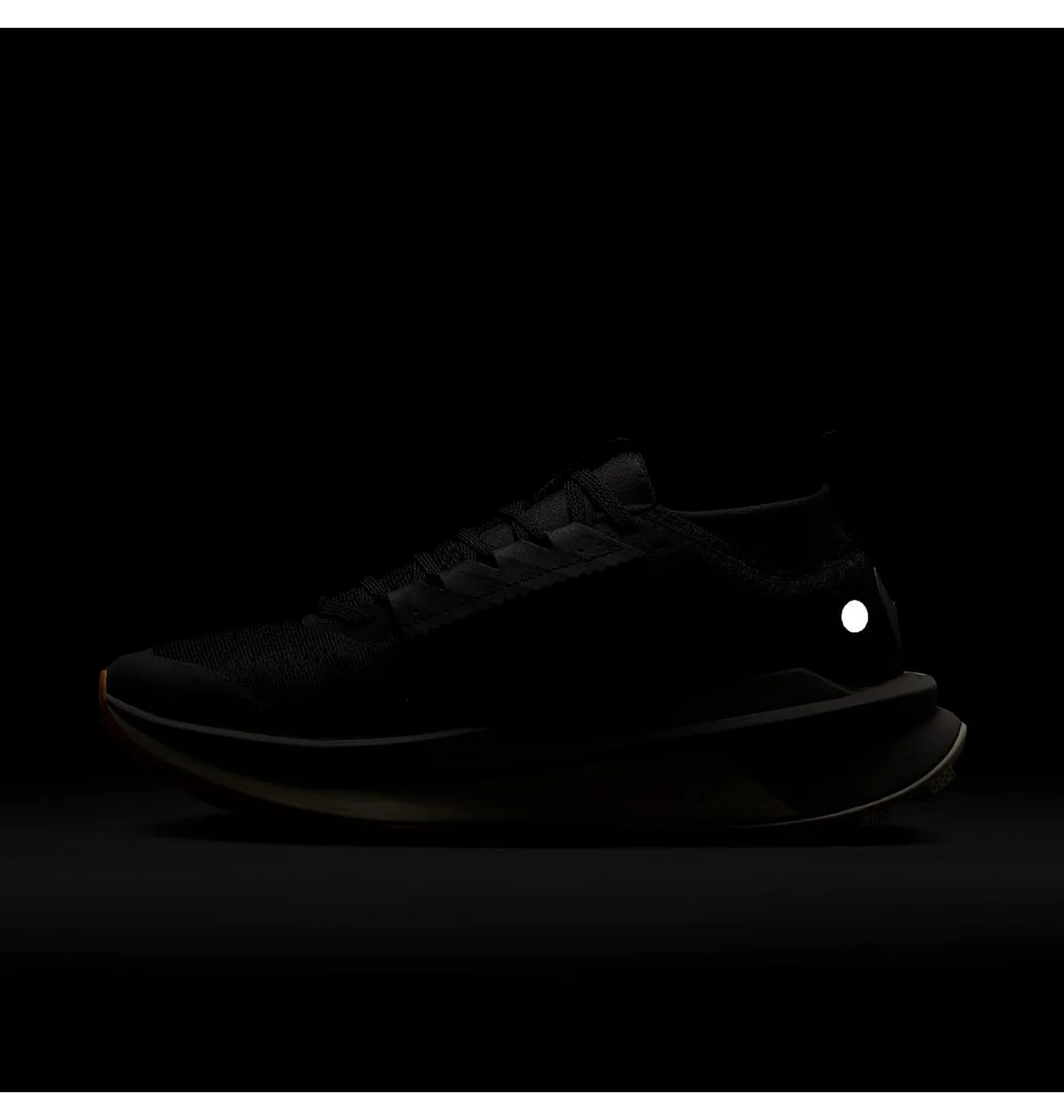 Кросівки жіночі Nike W Zoomx Zegama Trail 2 Black FD5191-004